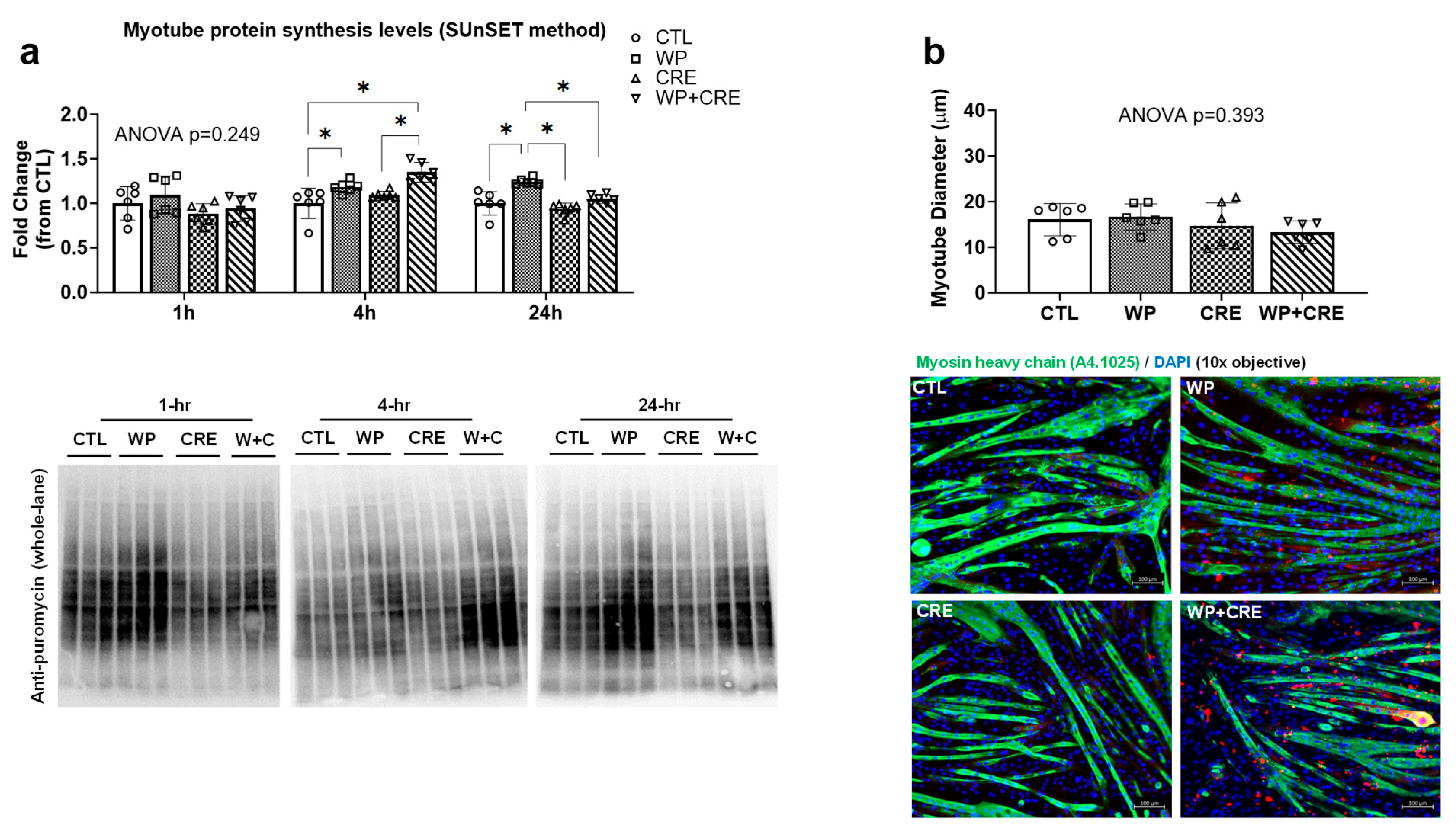 Physiologia 05 00017 g003