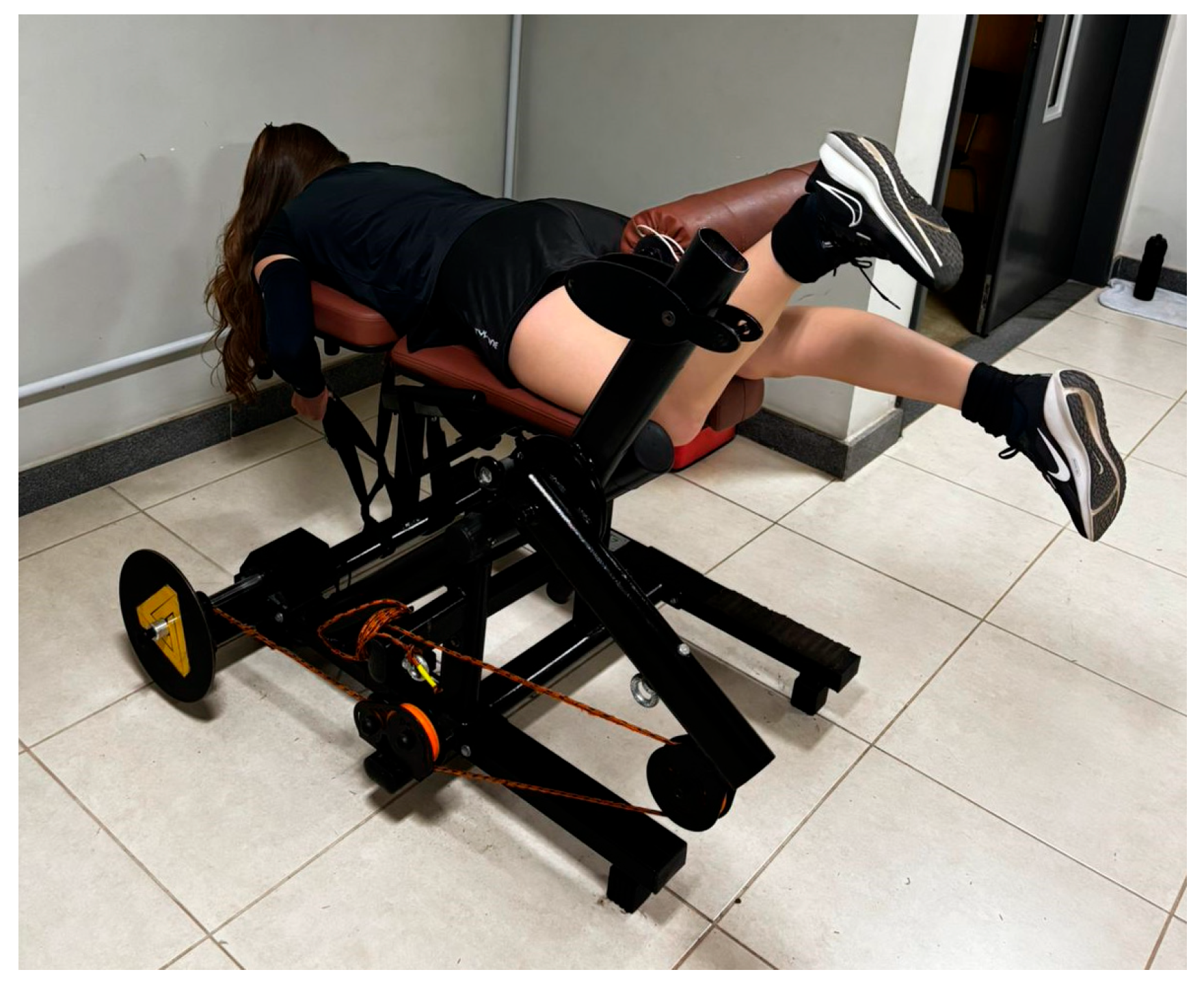 Physiologia 05 00026 g002 Physiologia 05 00026 g002