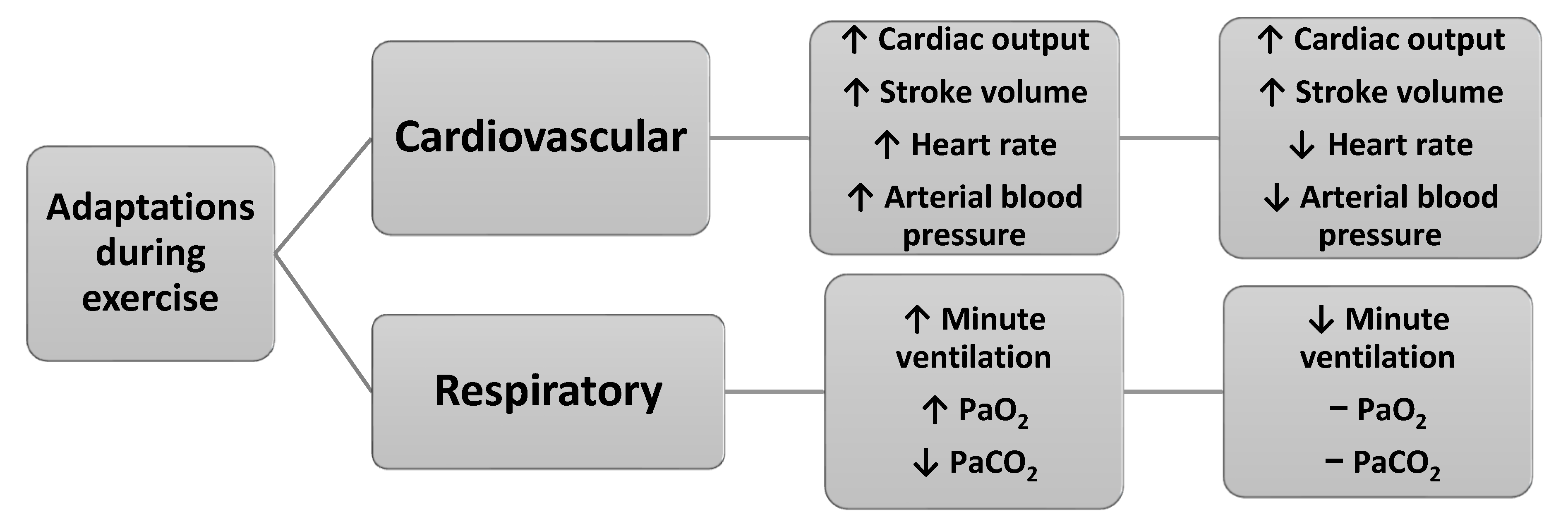 Physiologia 05 00030 g003