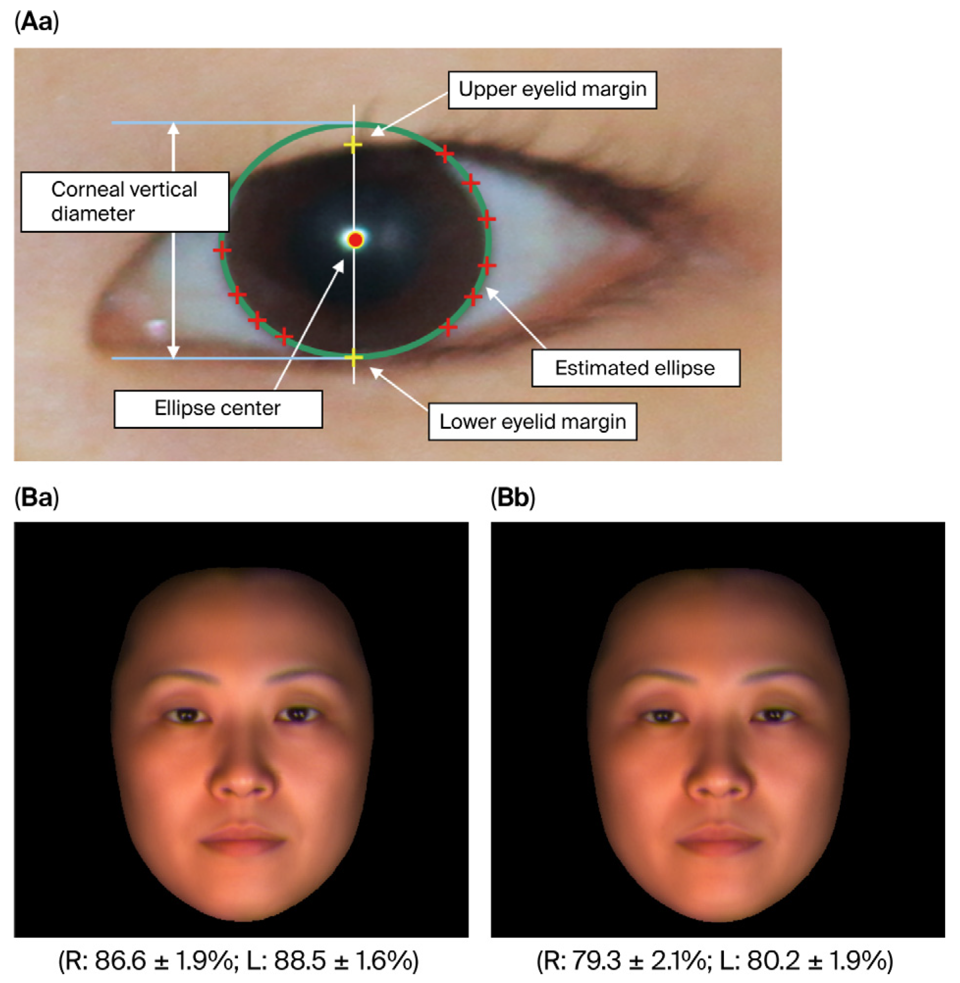 Physiologia 05 00042 g001