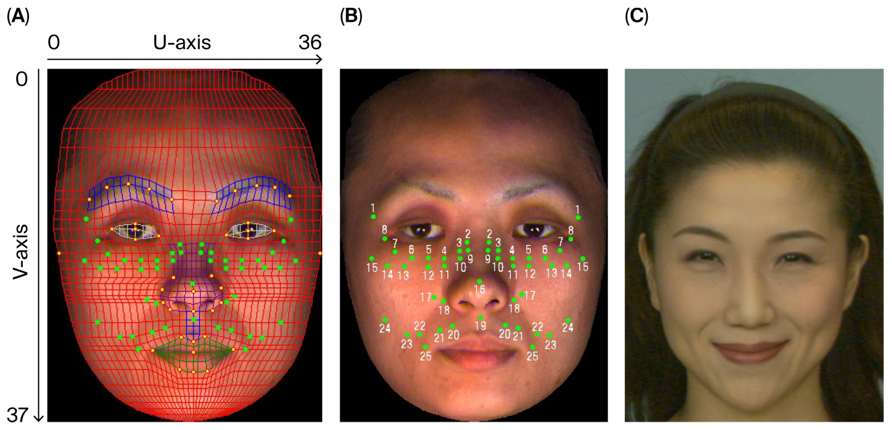 Physiologia 05 00042 g002