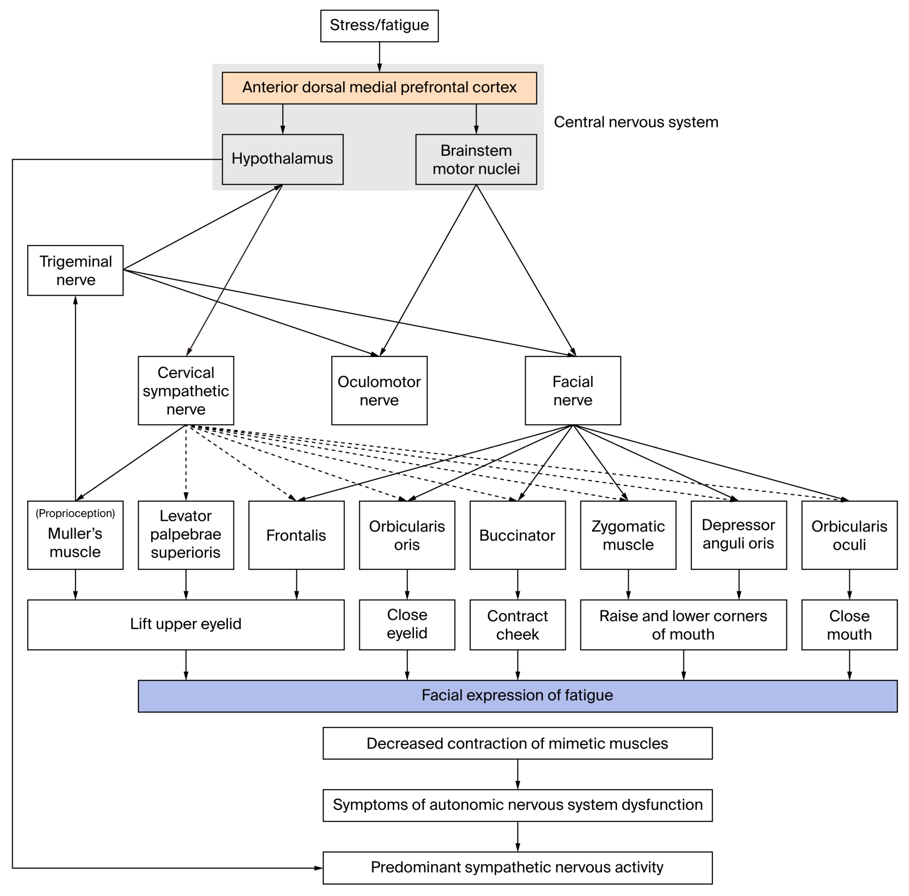 Physiologia 05 00042 g009