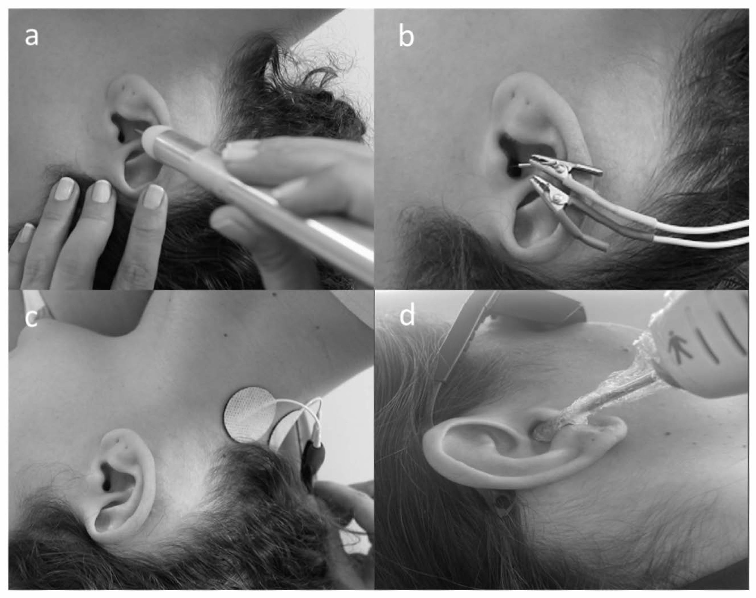 Physiologia 05 00047 g001