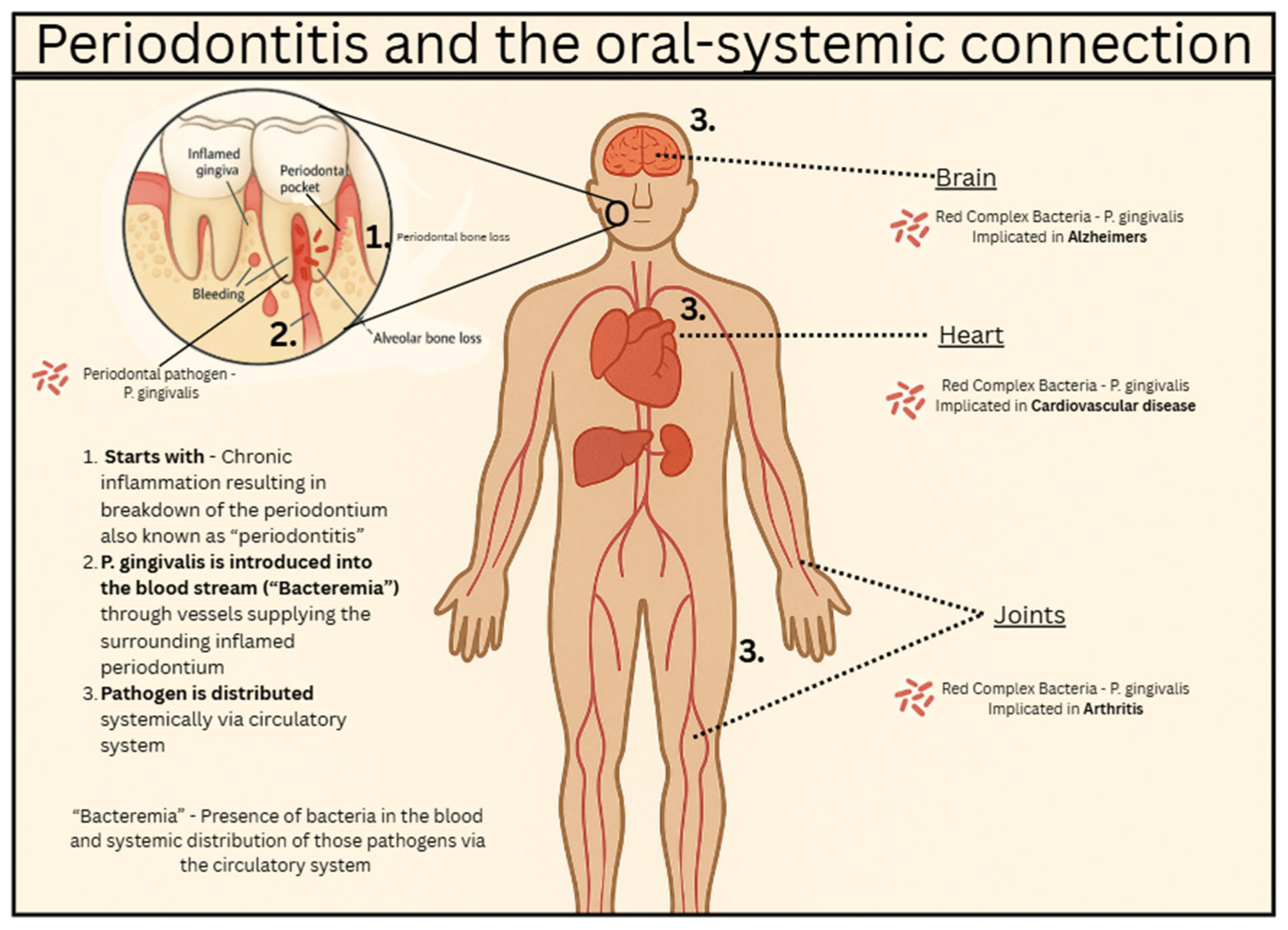 Physiologia 05 00049 g001