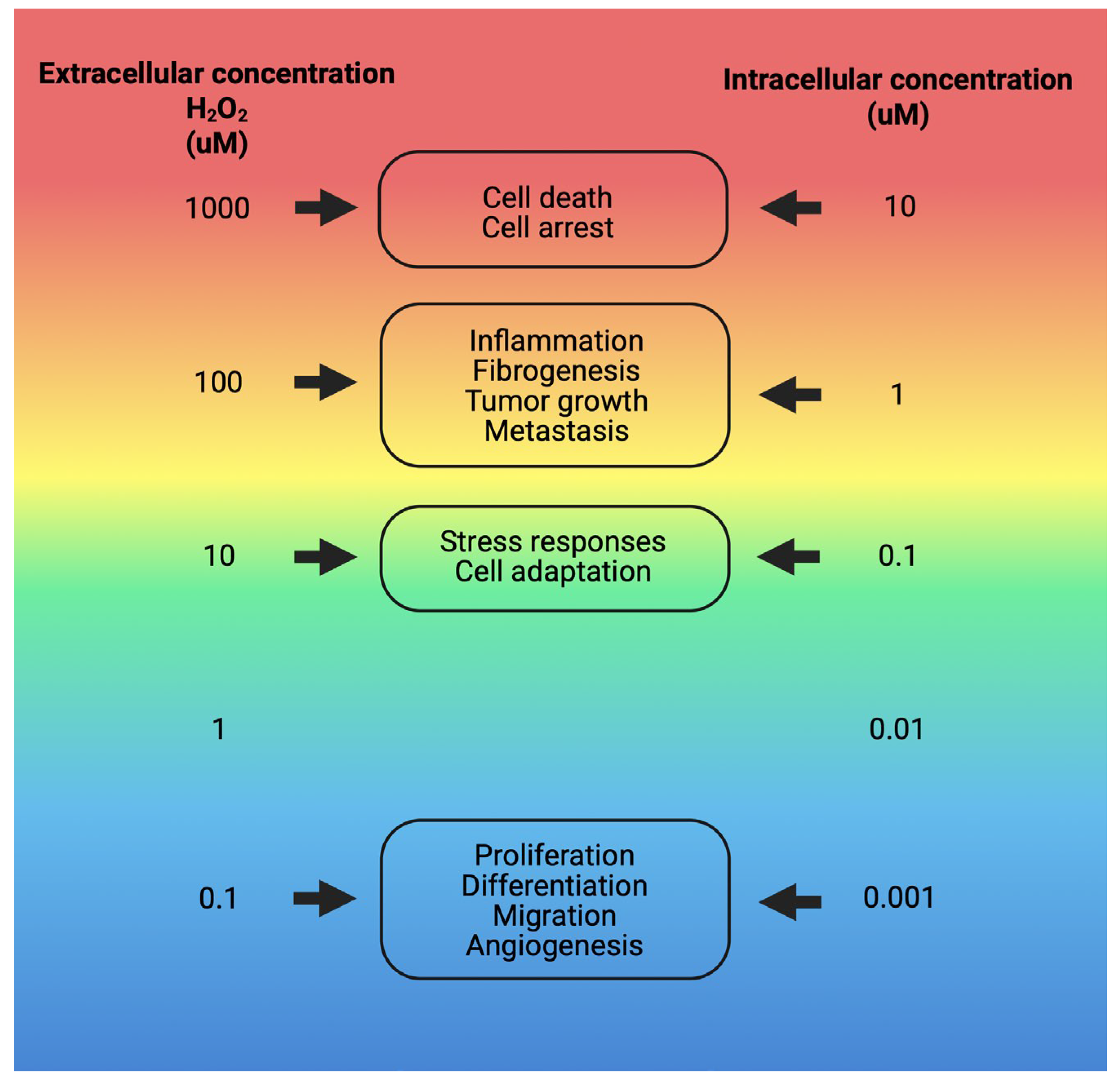 Physiologia 05 00050 g003 Physiologia 05 00050 g003