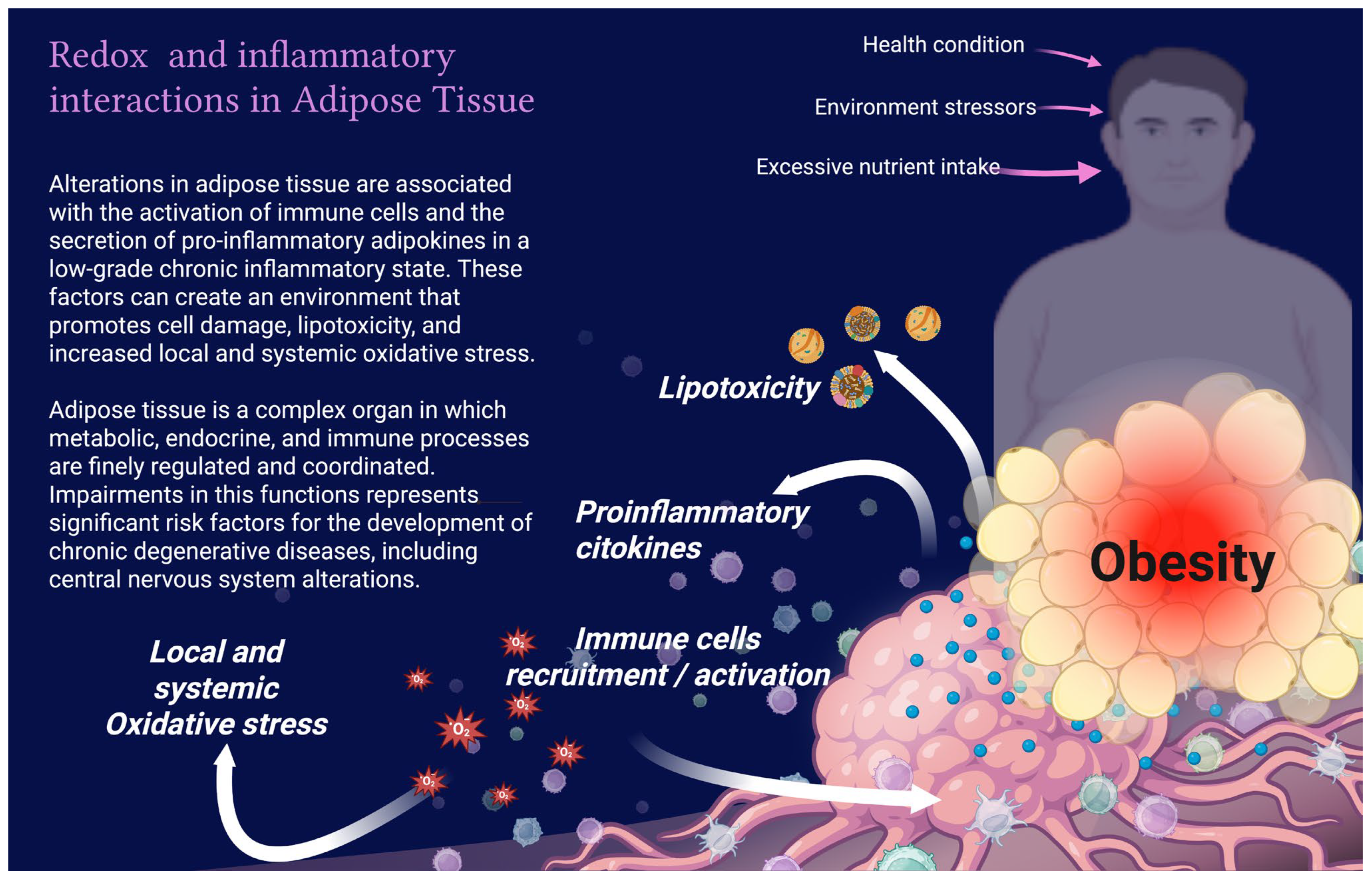 Physiologia 05 00050 g004 Physiologia 05 00050 g004