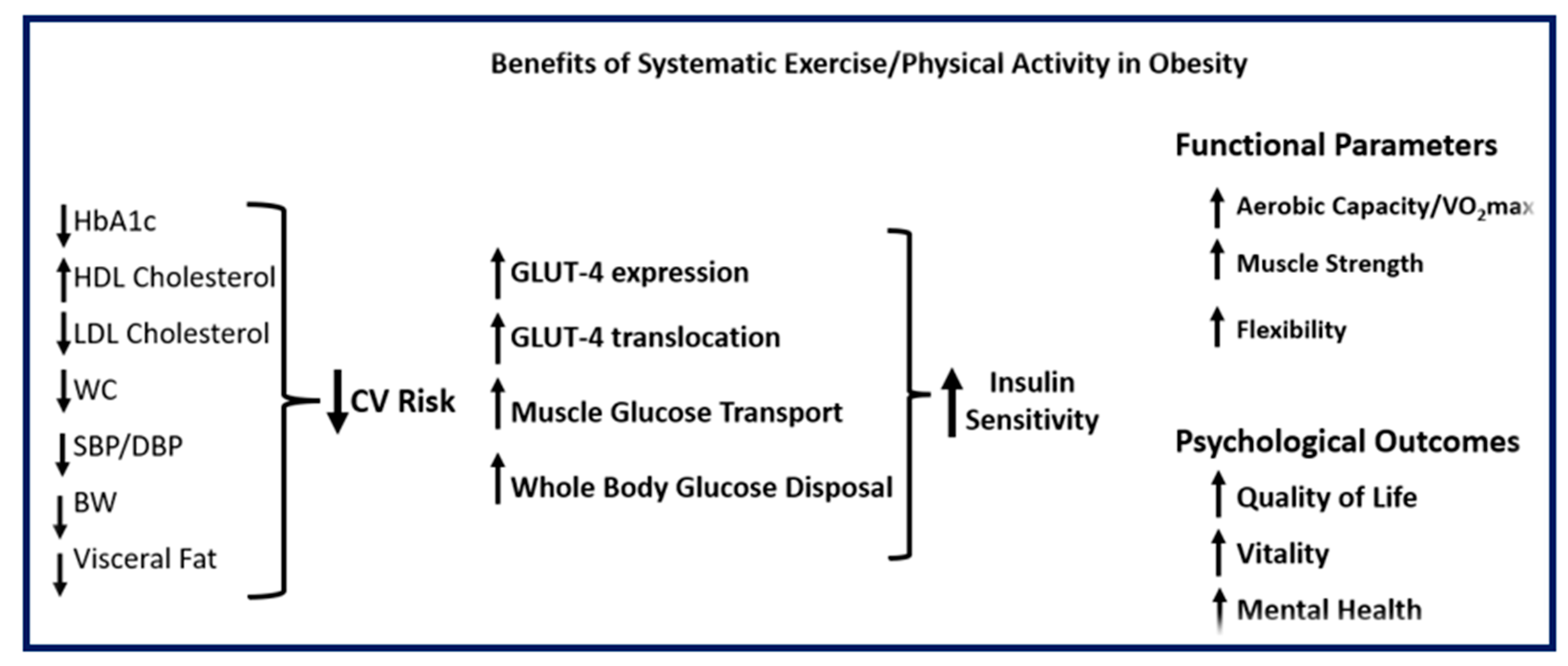 Physiologia 05 00057 g003 Physiologia 05 00057 g003