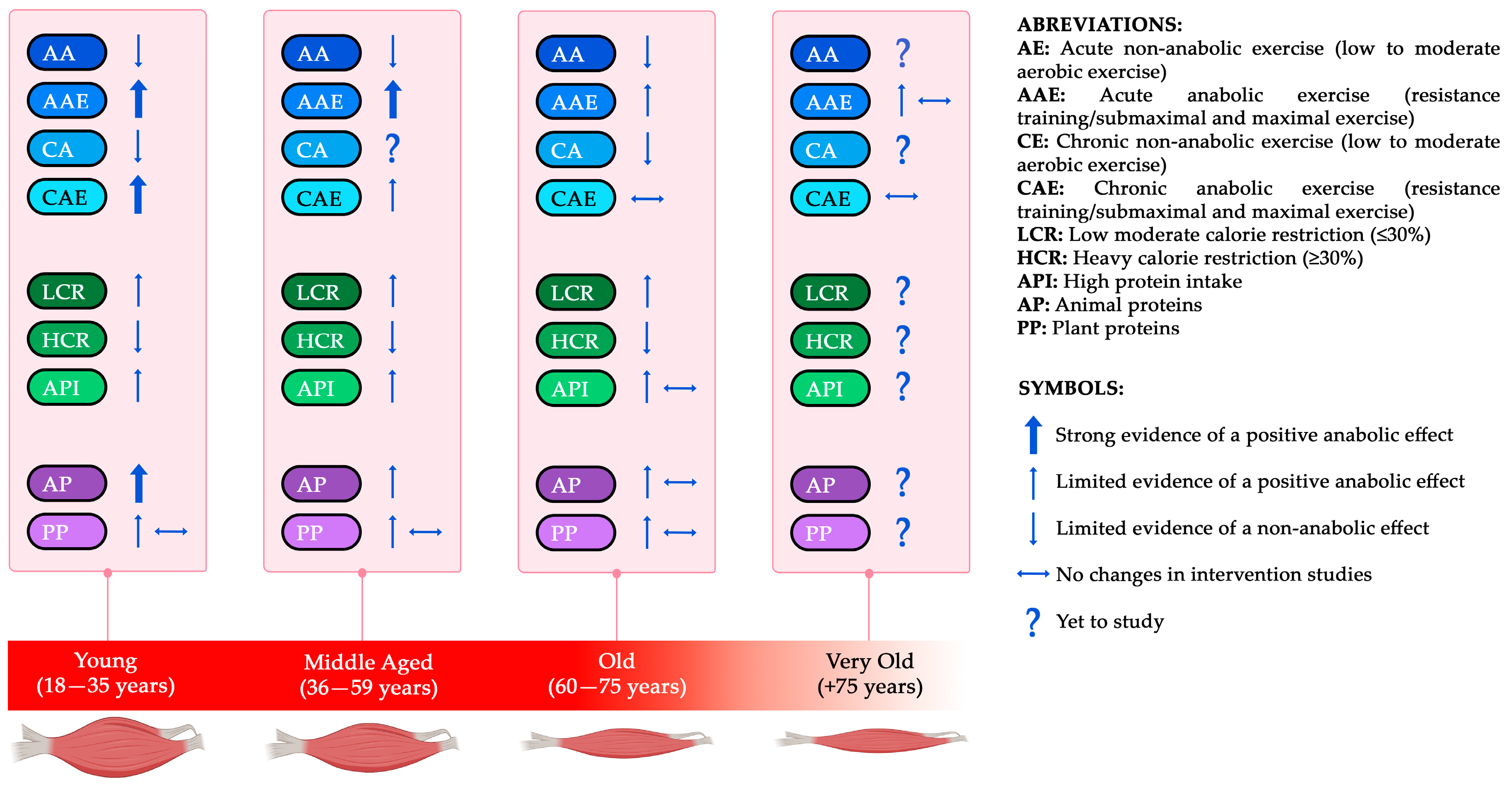 Physiologia 06 00005 g004 Physiologia 06 00005 g004