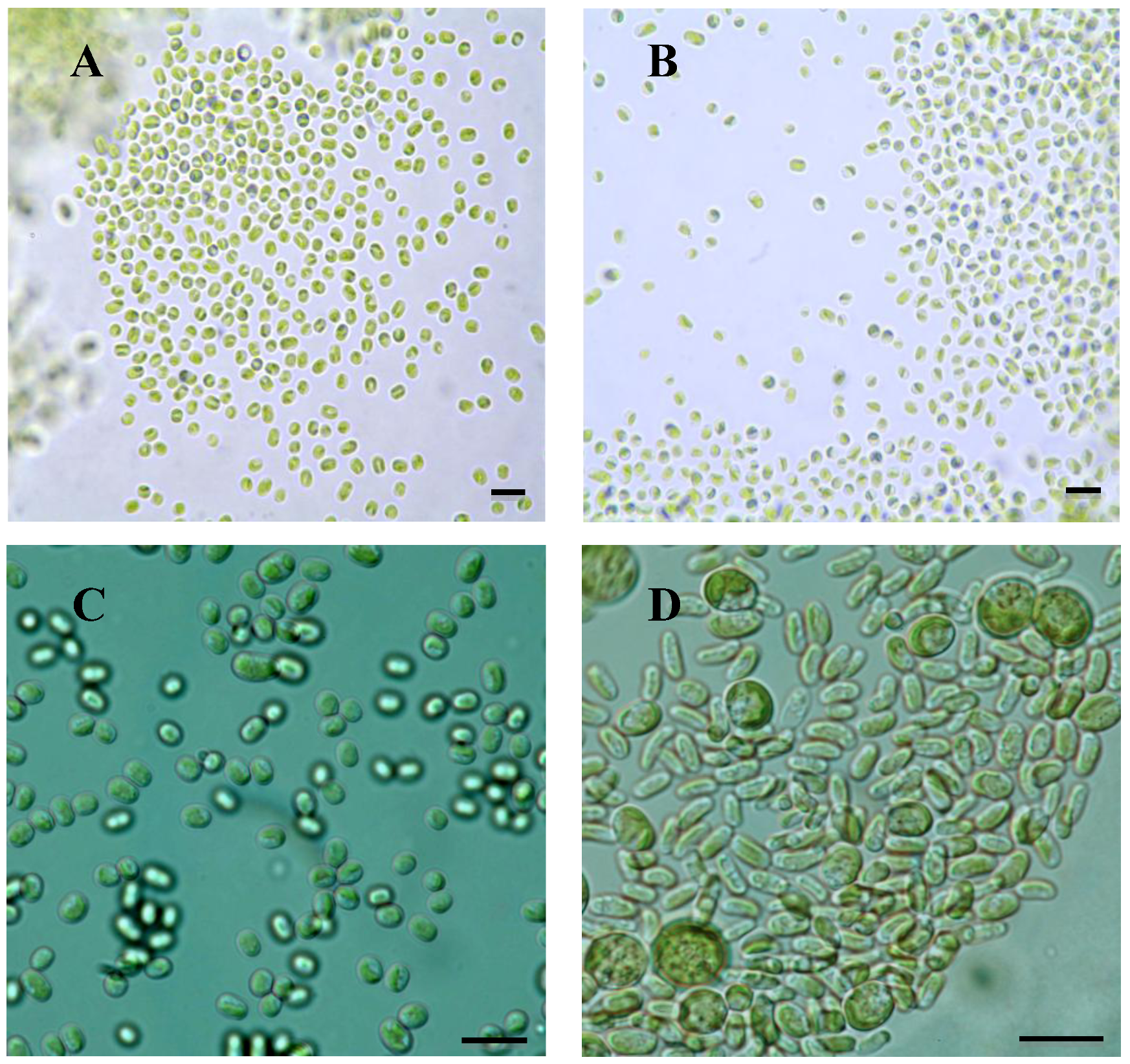 Plants 01 00039 g001