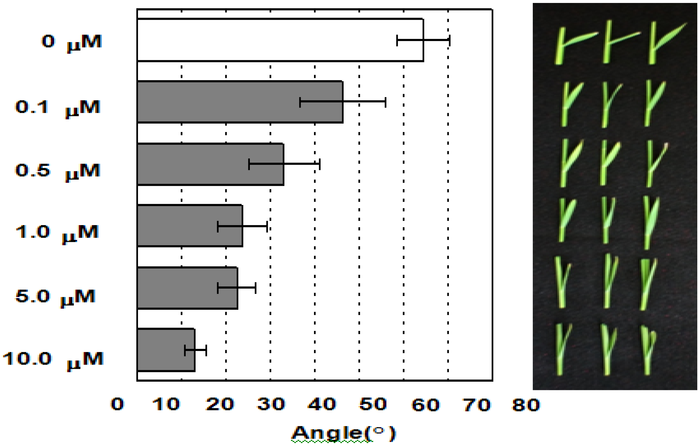 Plants 02 00521 g004