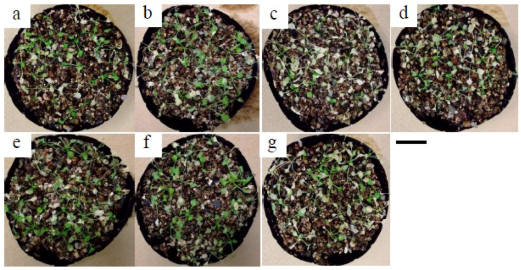 Plants 02 00769 g010