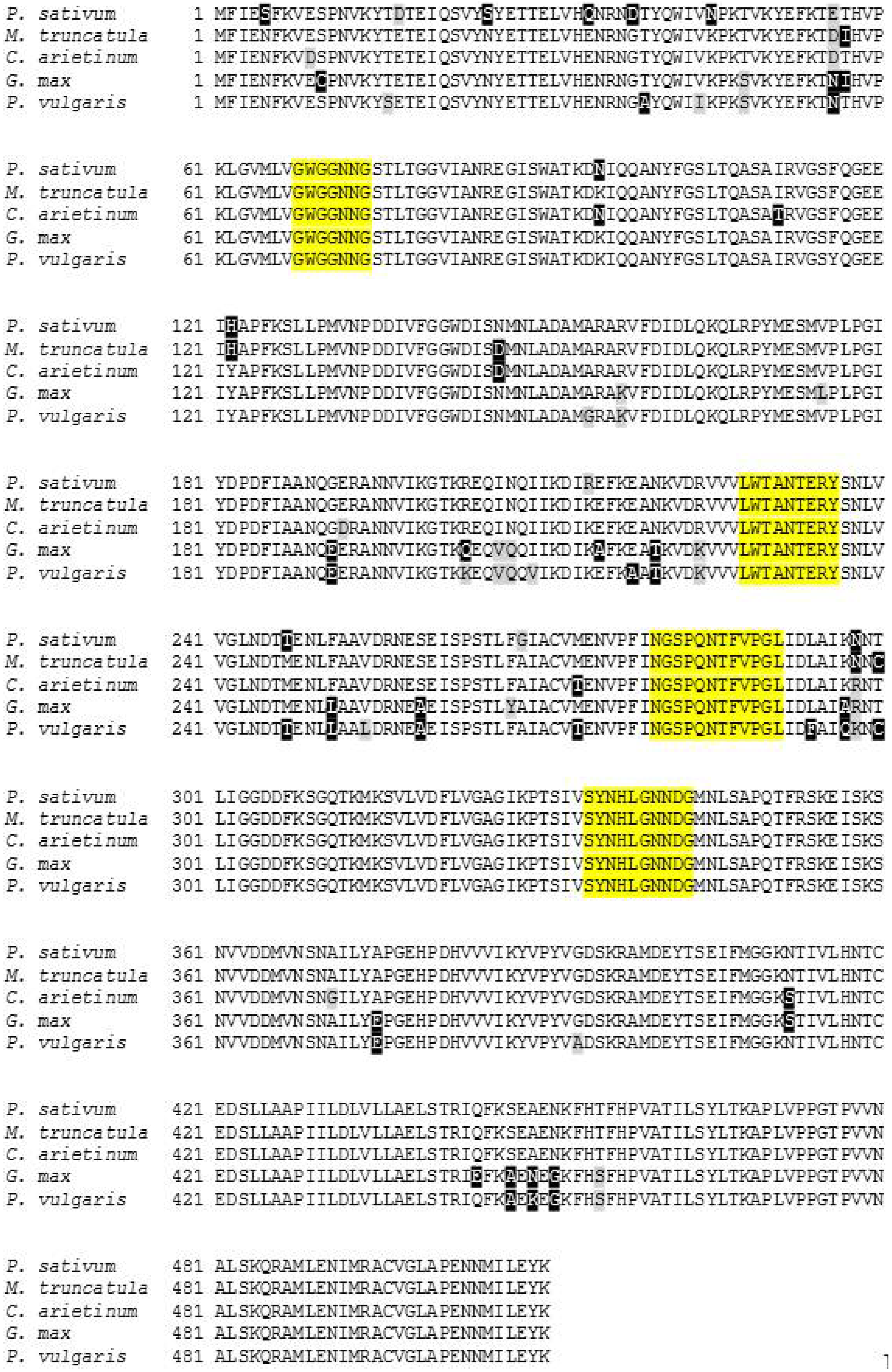Plants 04 00001 g004 1024