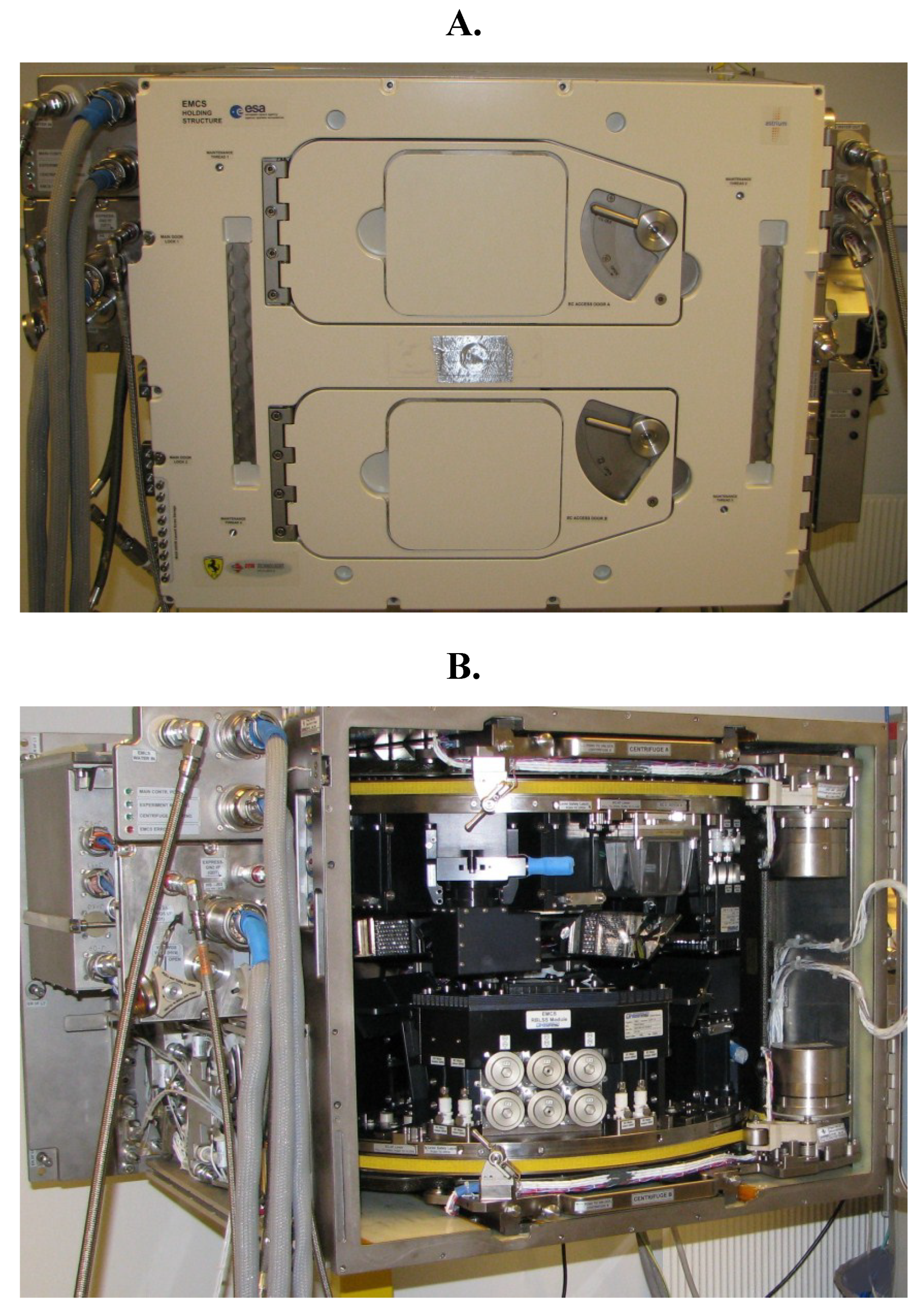 Plants 04 00044 g002 1024