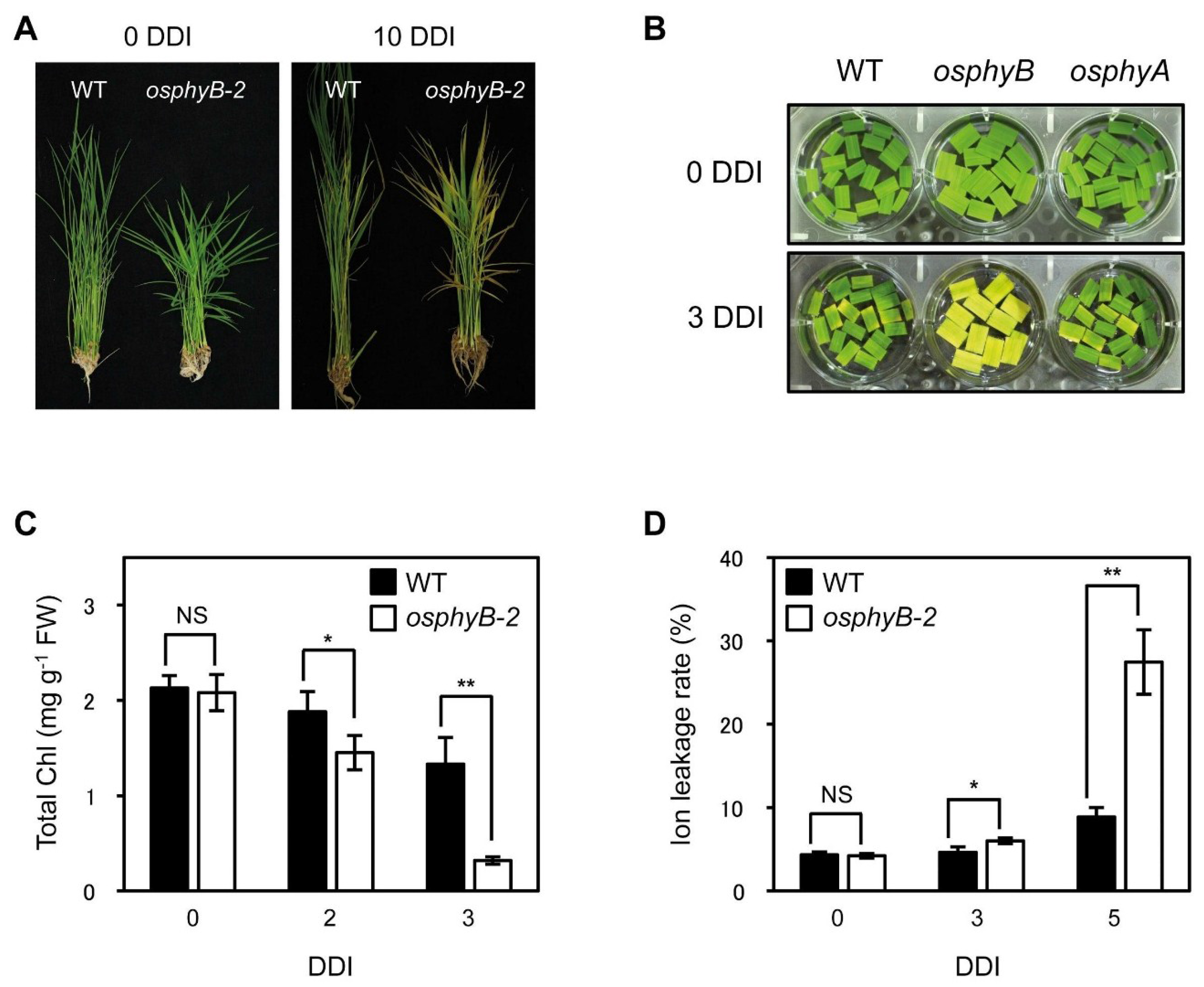 Plants 04 00644 g001