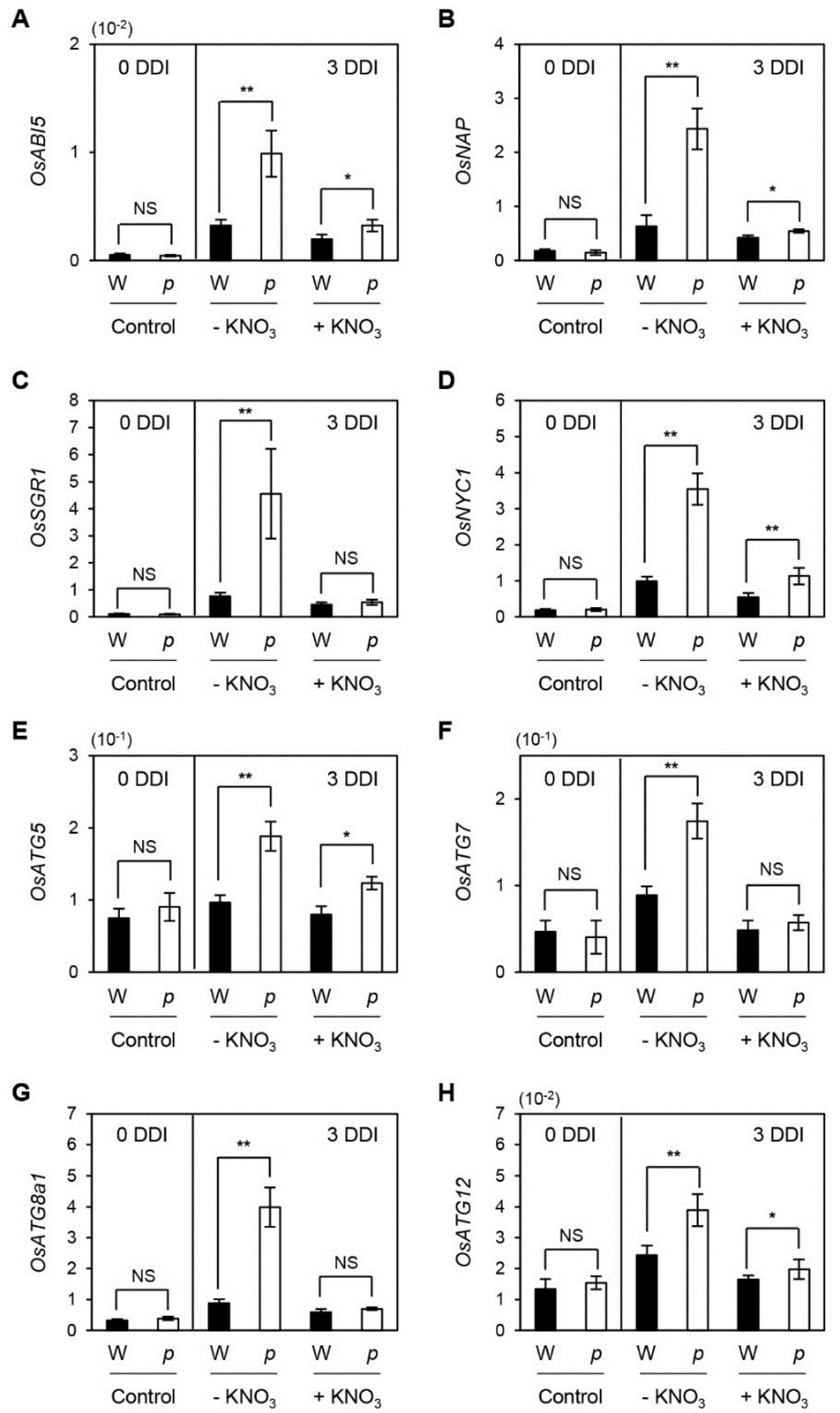 Plants 04 00644 g005