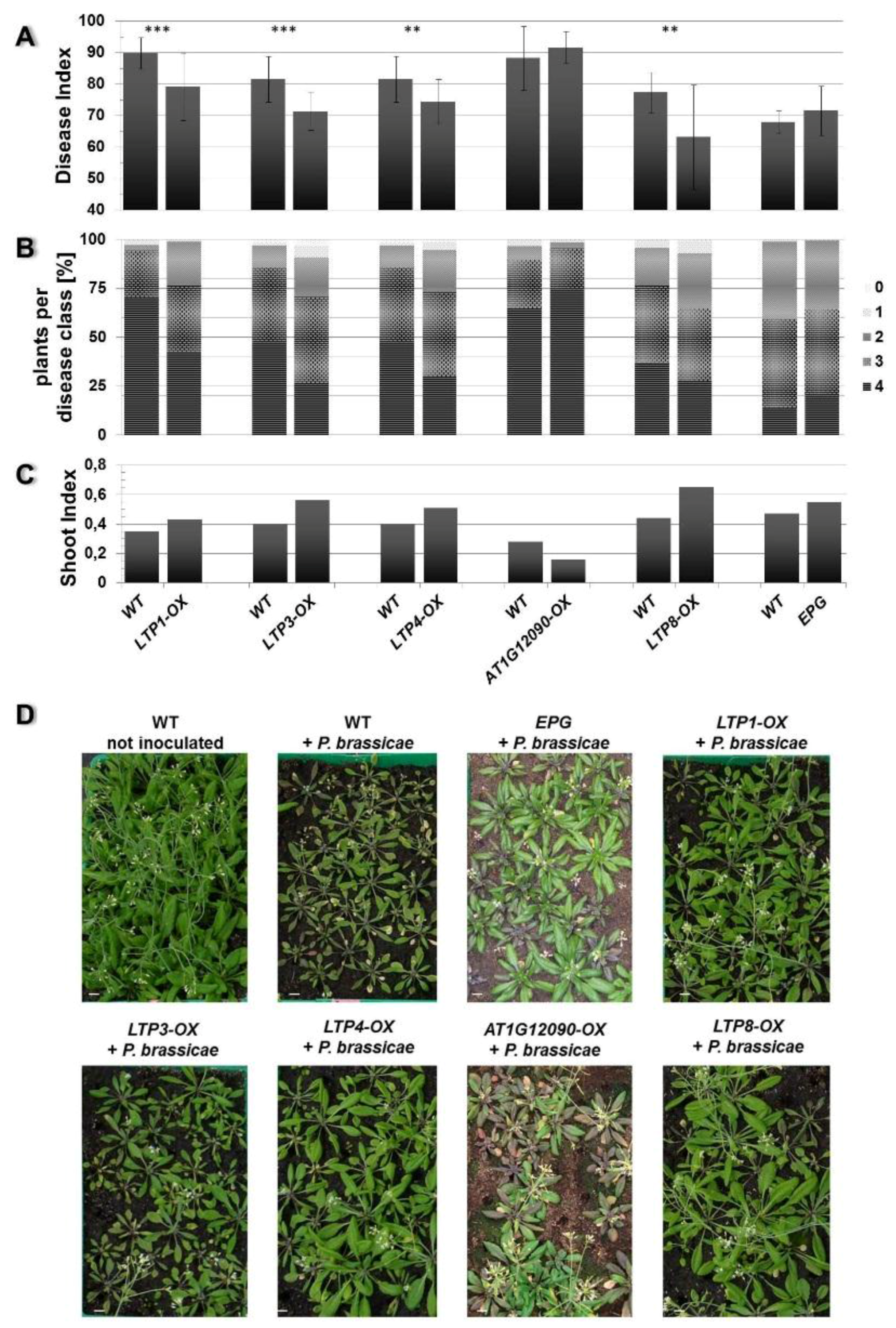 Plants 05 00002 g004