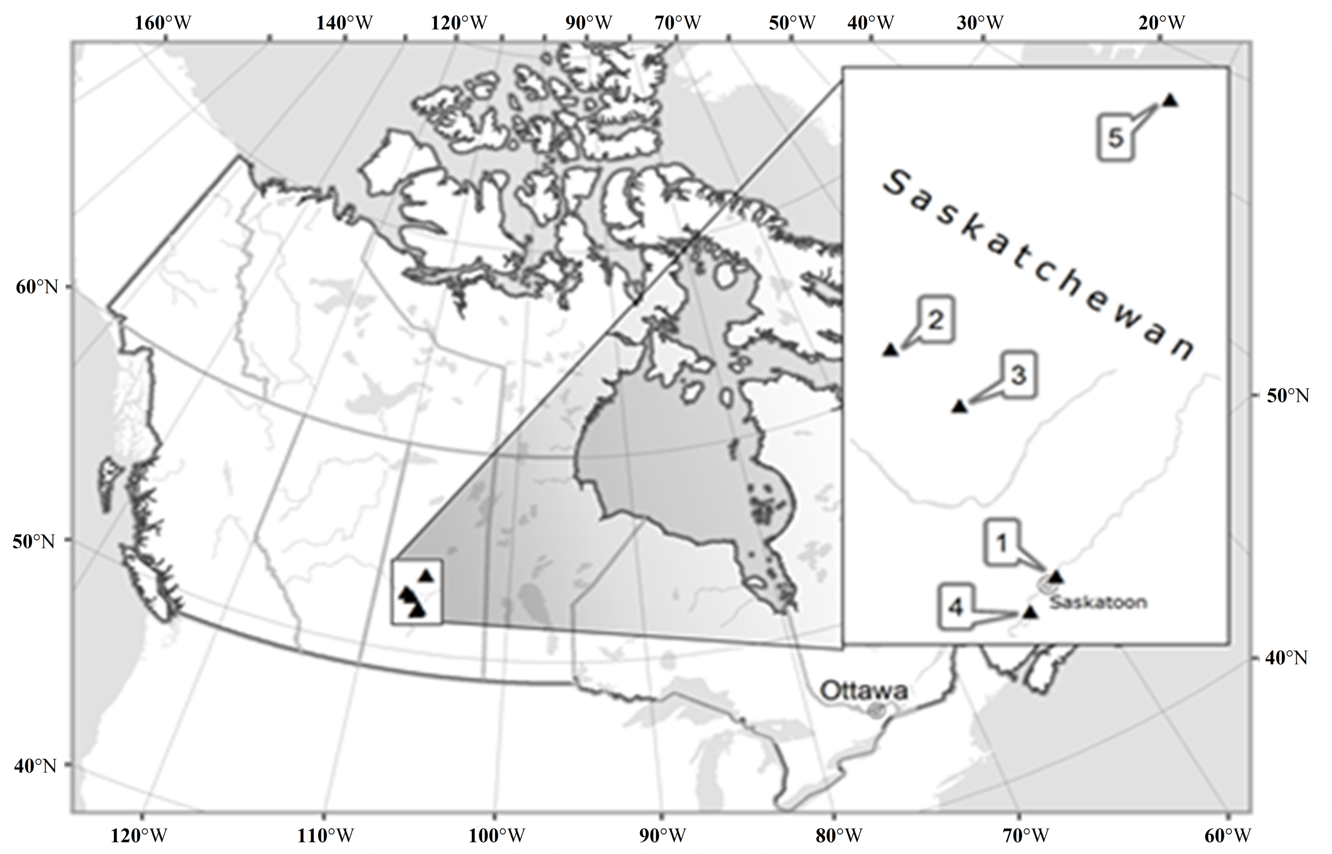 Plants 05 00029 g008