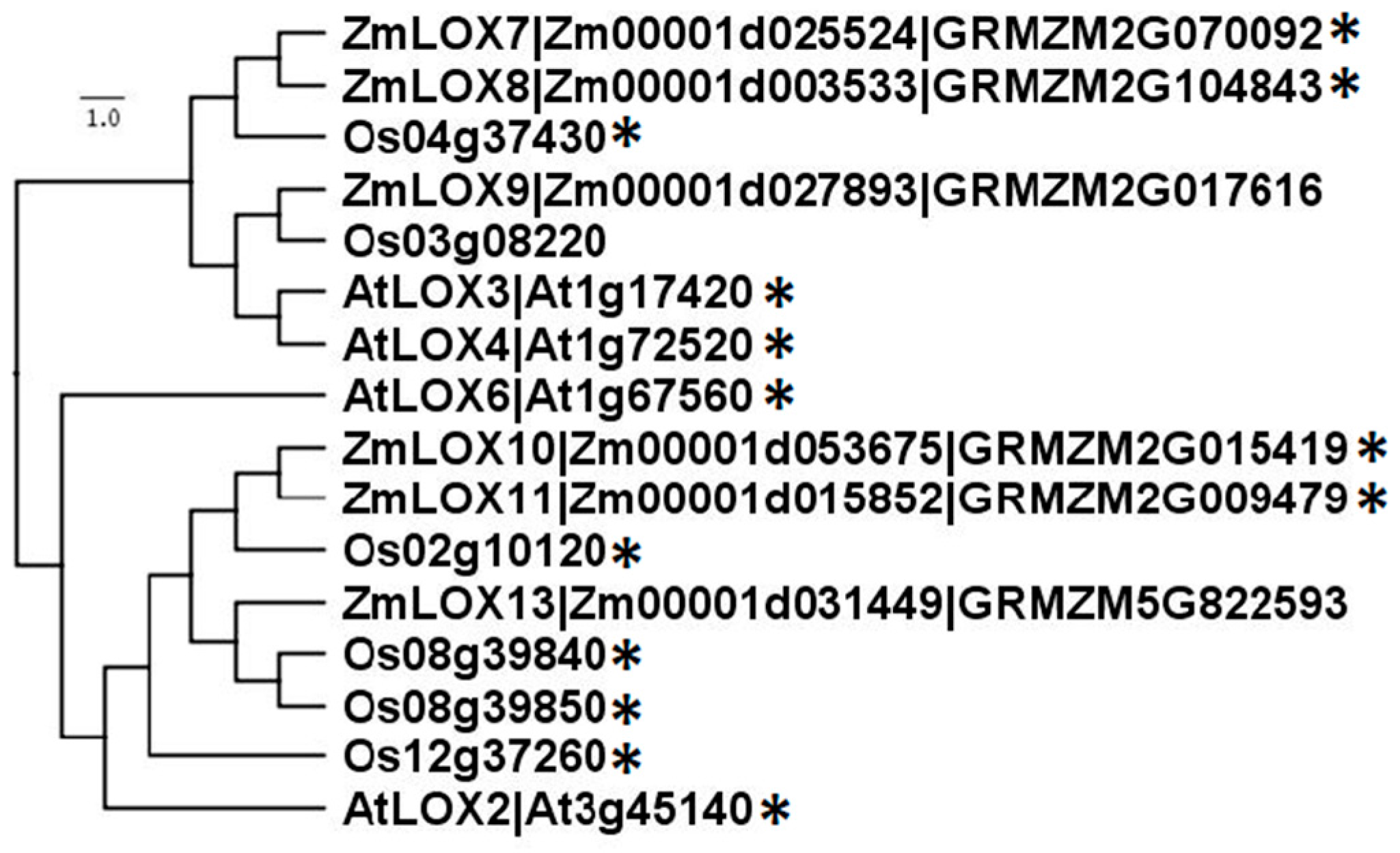 Plants 05 00041 g004