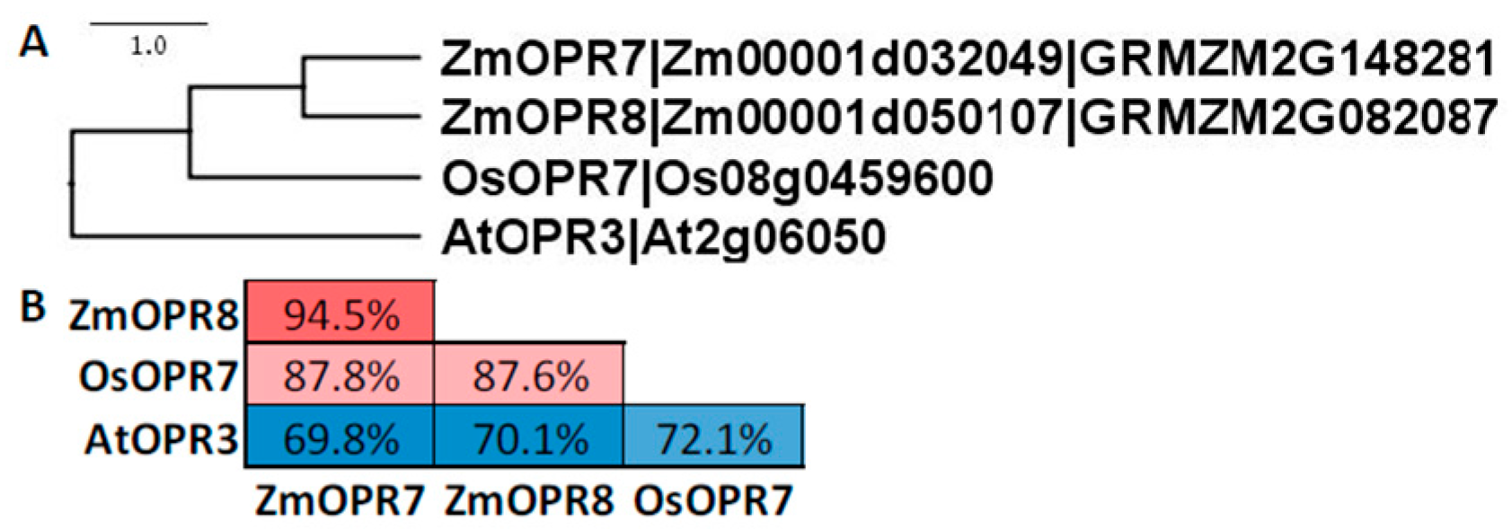 Plants 05 00041 g008