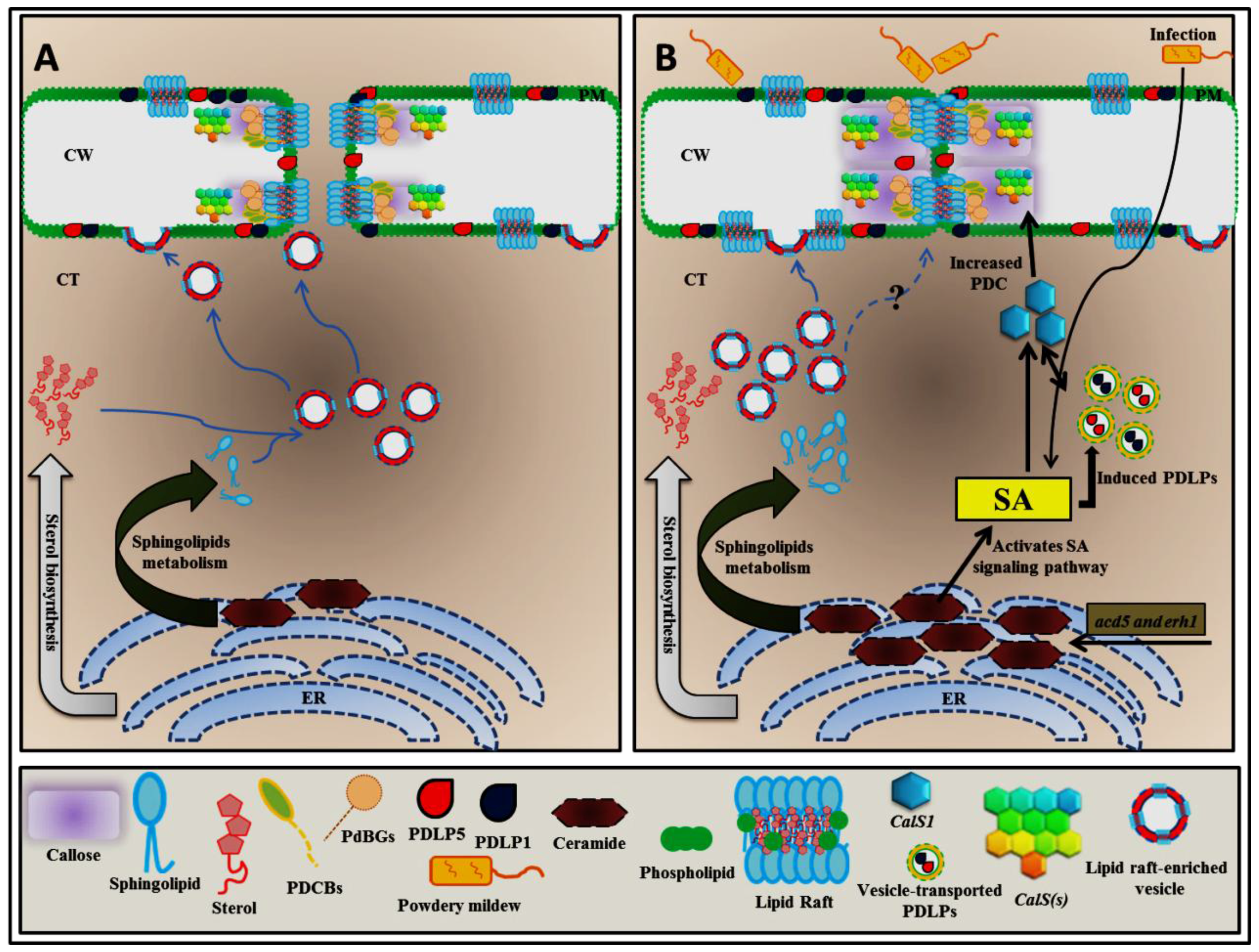 Plants 06 00015 g001 550