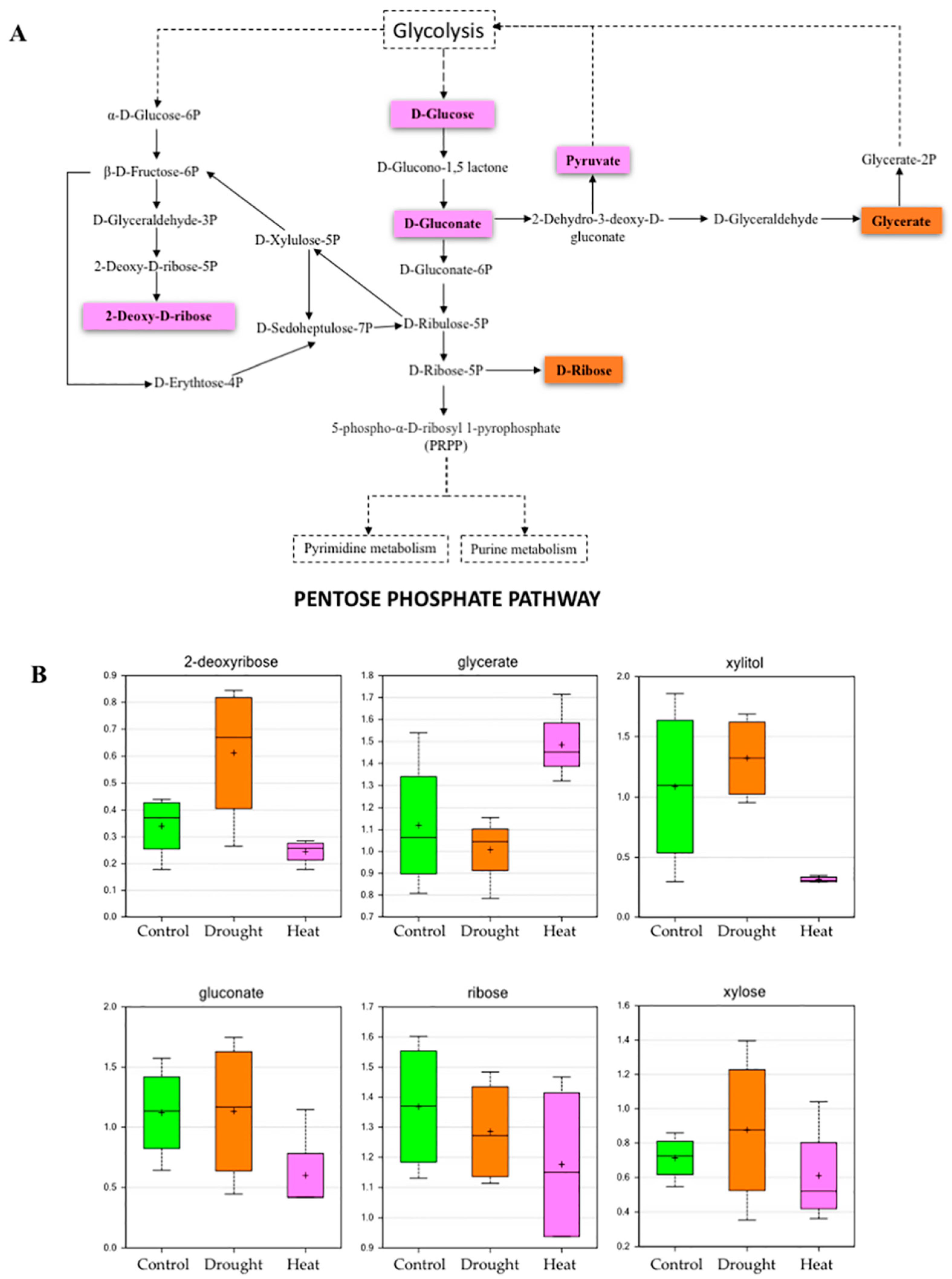 Plants 06 00021 g003