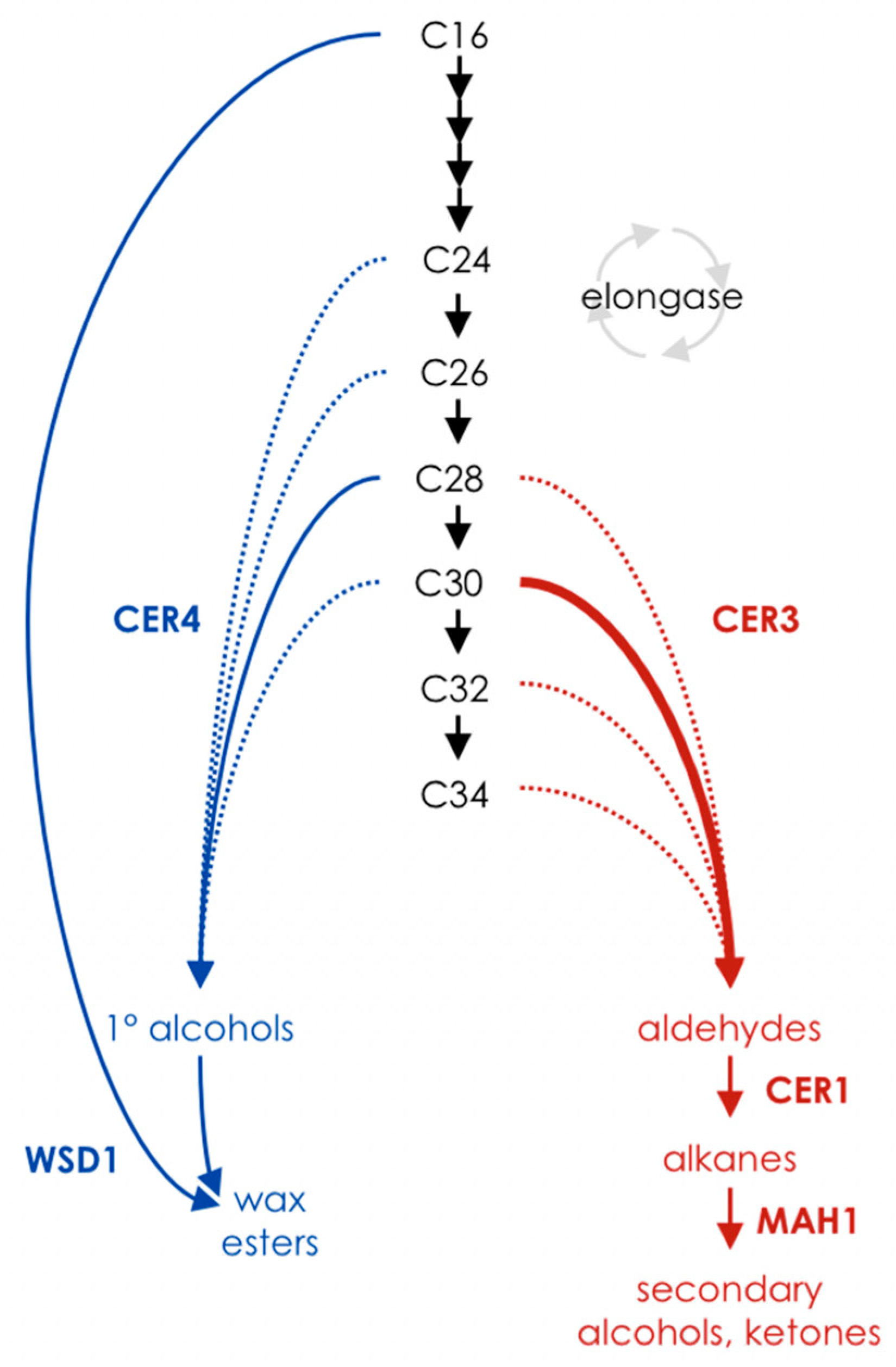 Plants 06 00023 g001 550