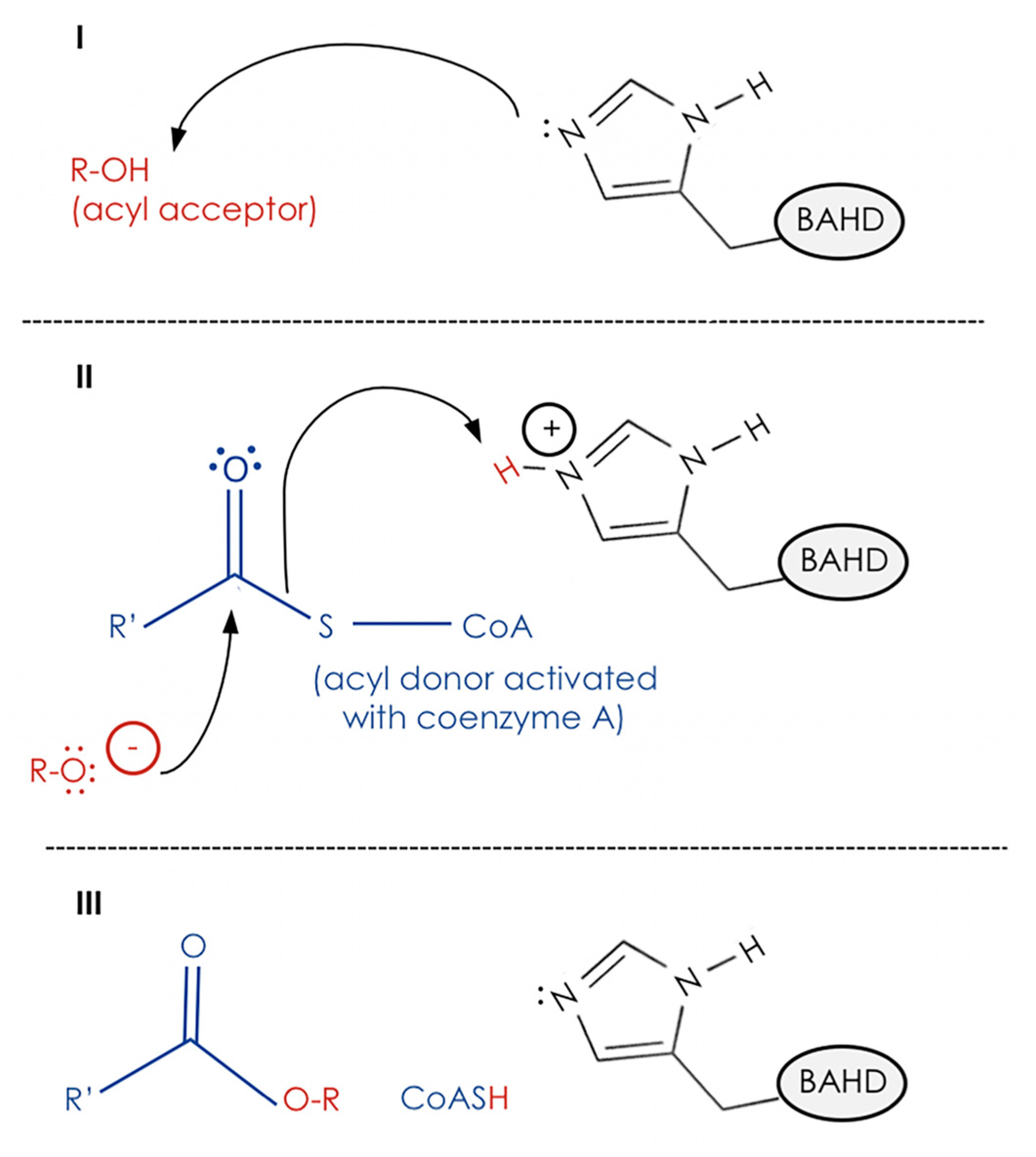 Plants 06 00023 g003 550