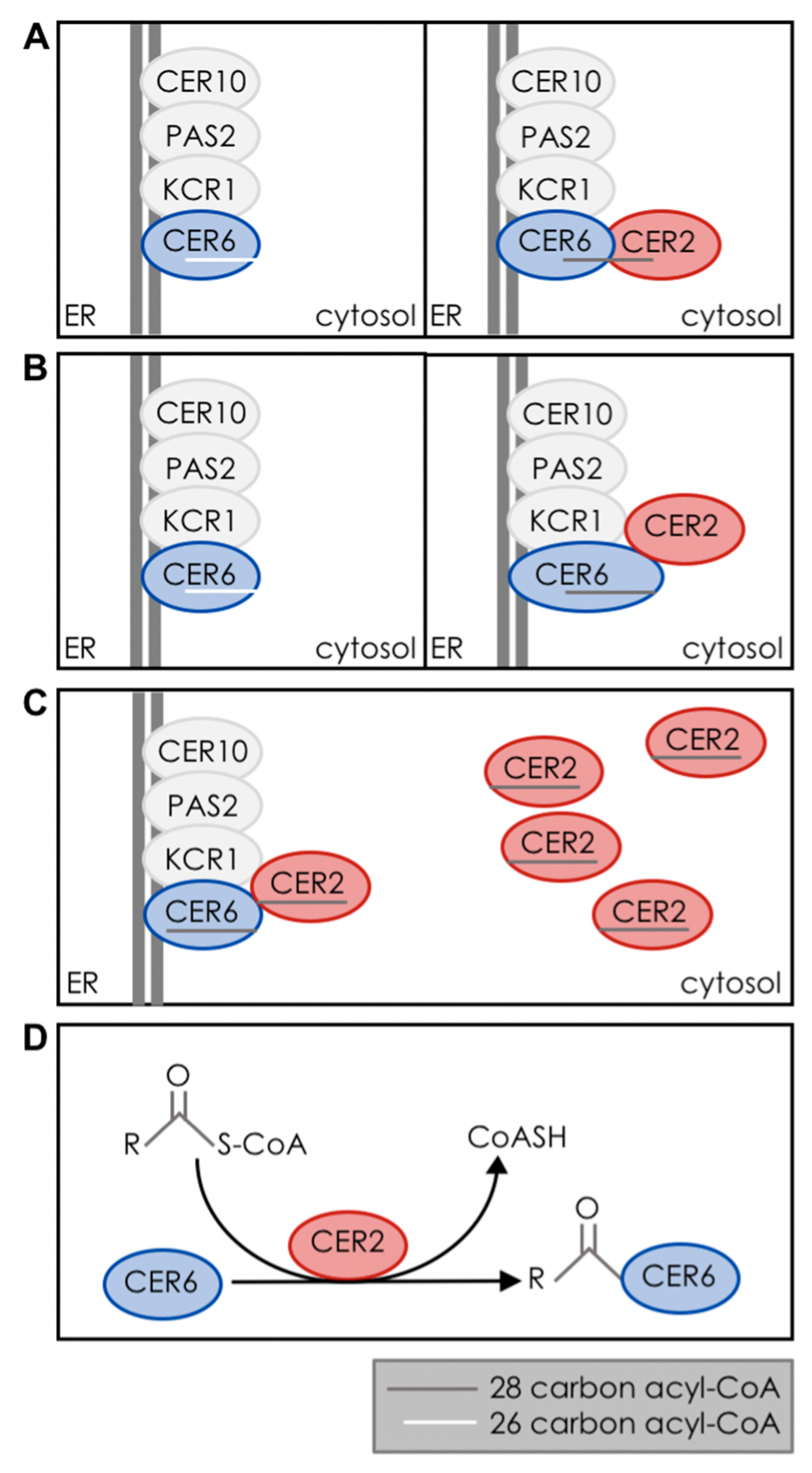 Plants 06 00023 g004 550
