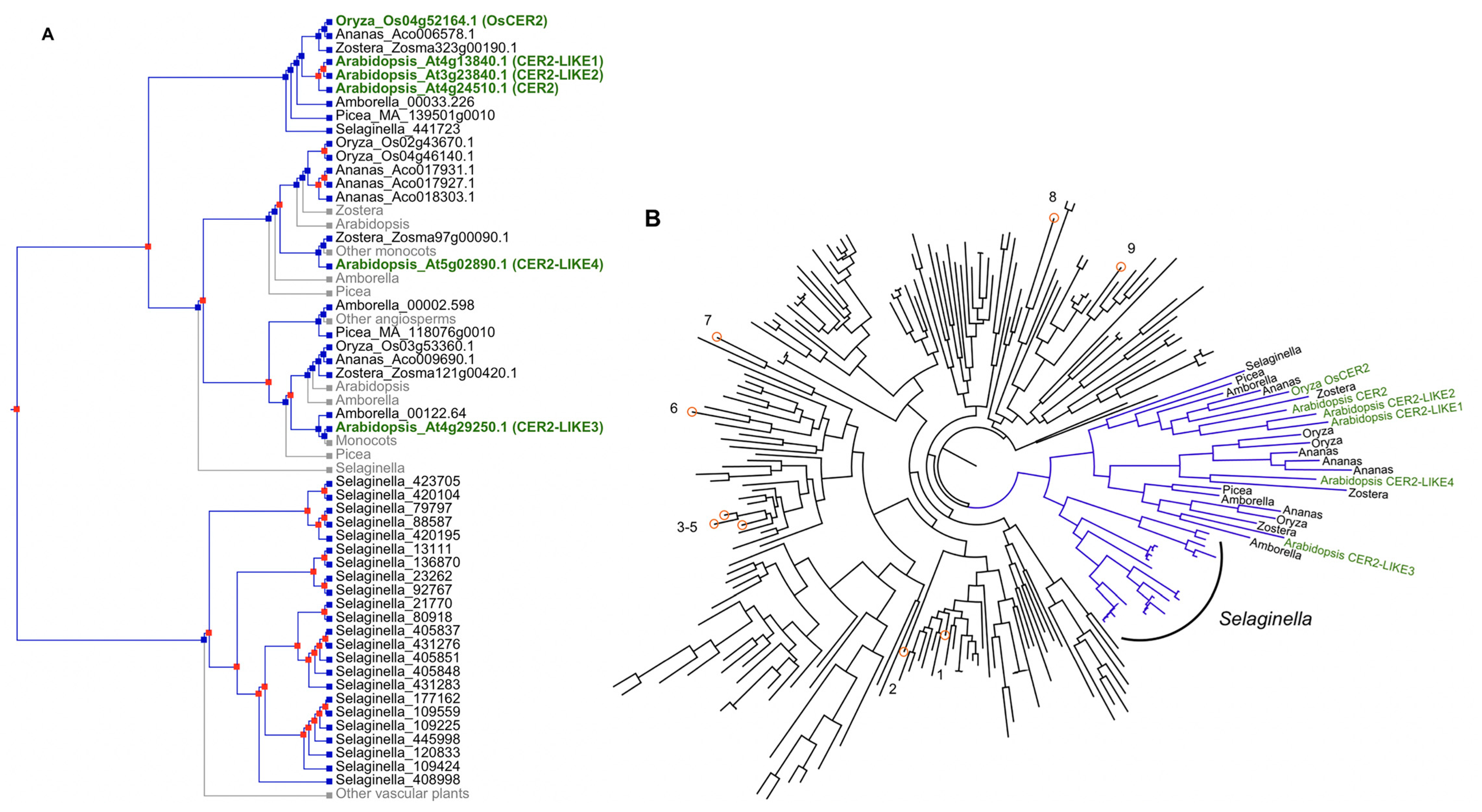 Plants 06 00023 g005 550