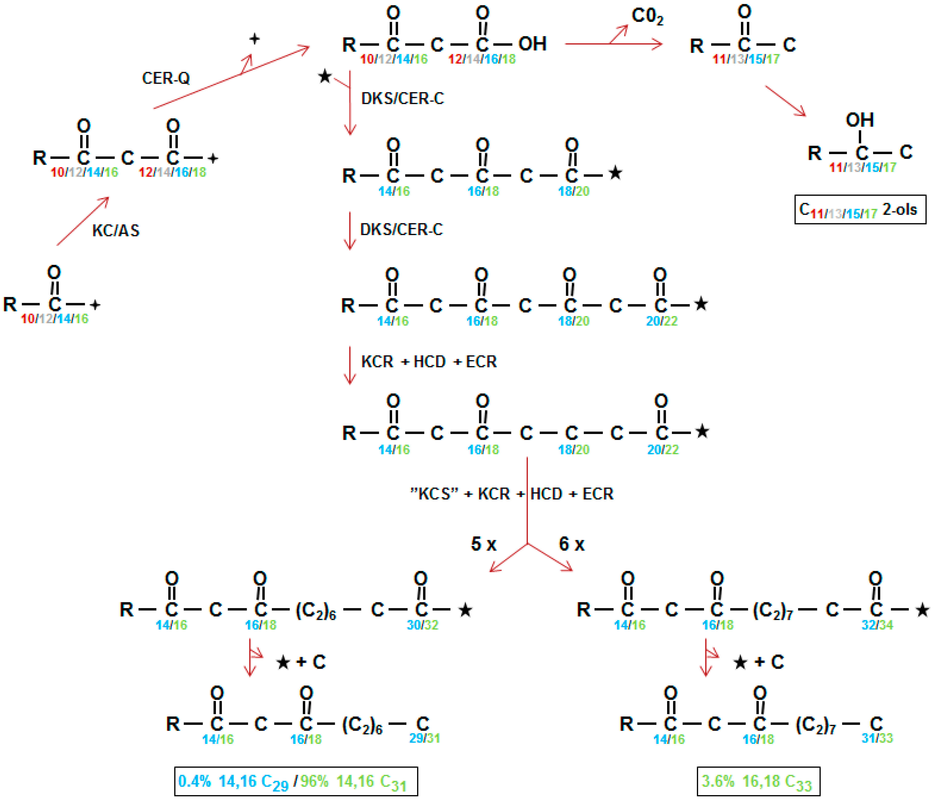 Plants 06 00028 g004 Plants 06 00028 g004