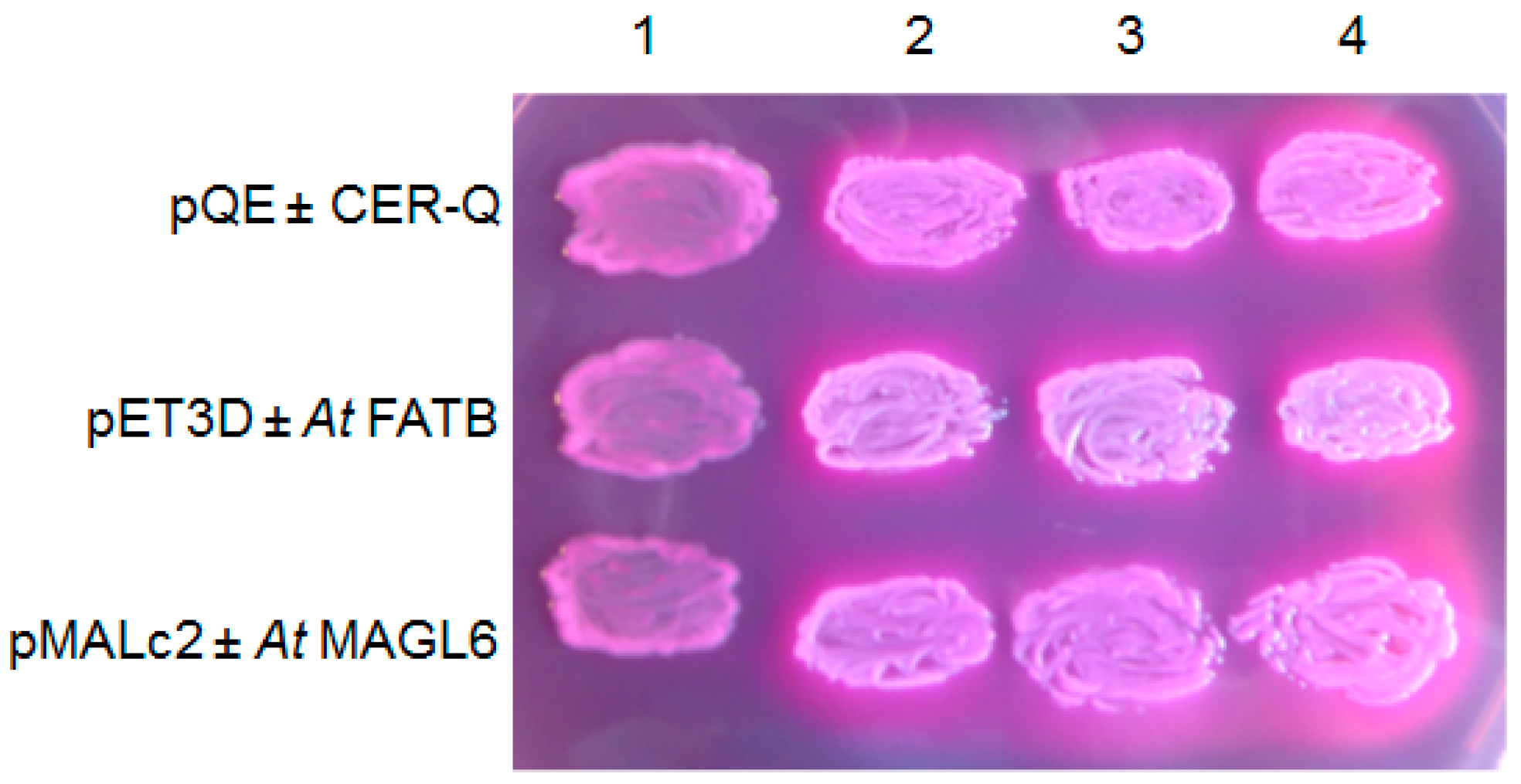 Plants 06 00028 g005 Plants 06 00028 g005