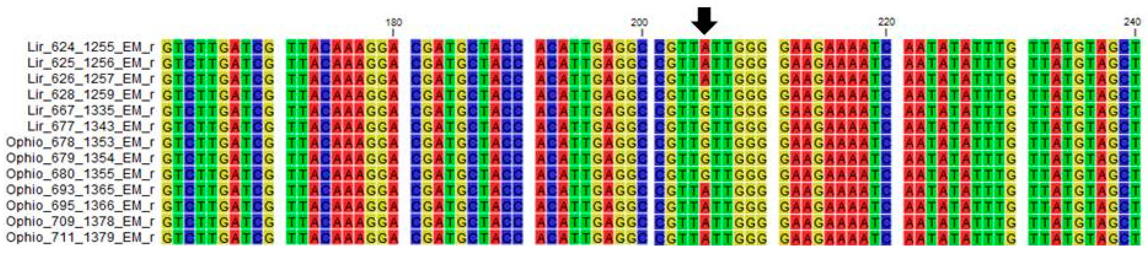 Plants 06 00053 g002