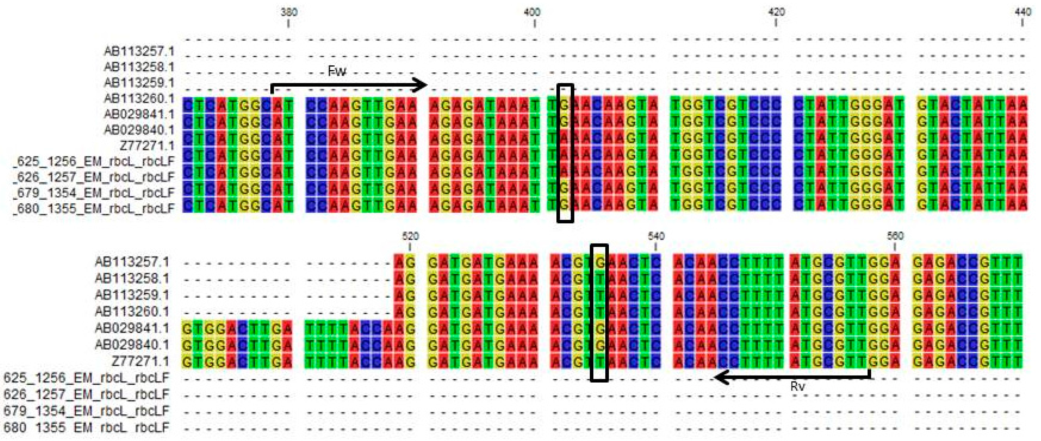 Plants 06 00053 g003