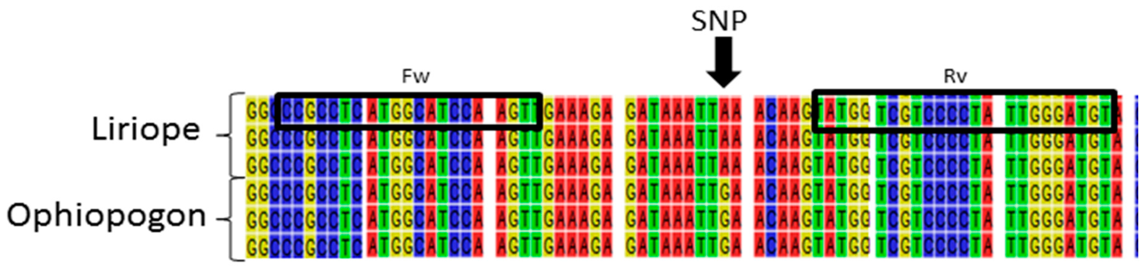 Plants 06 00053 g006