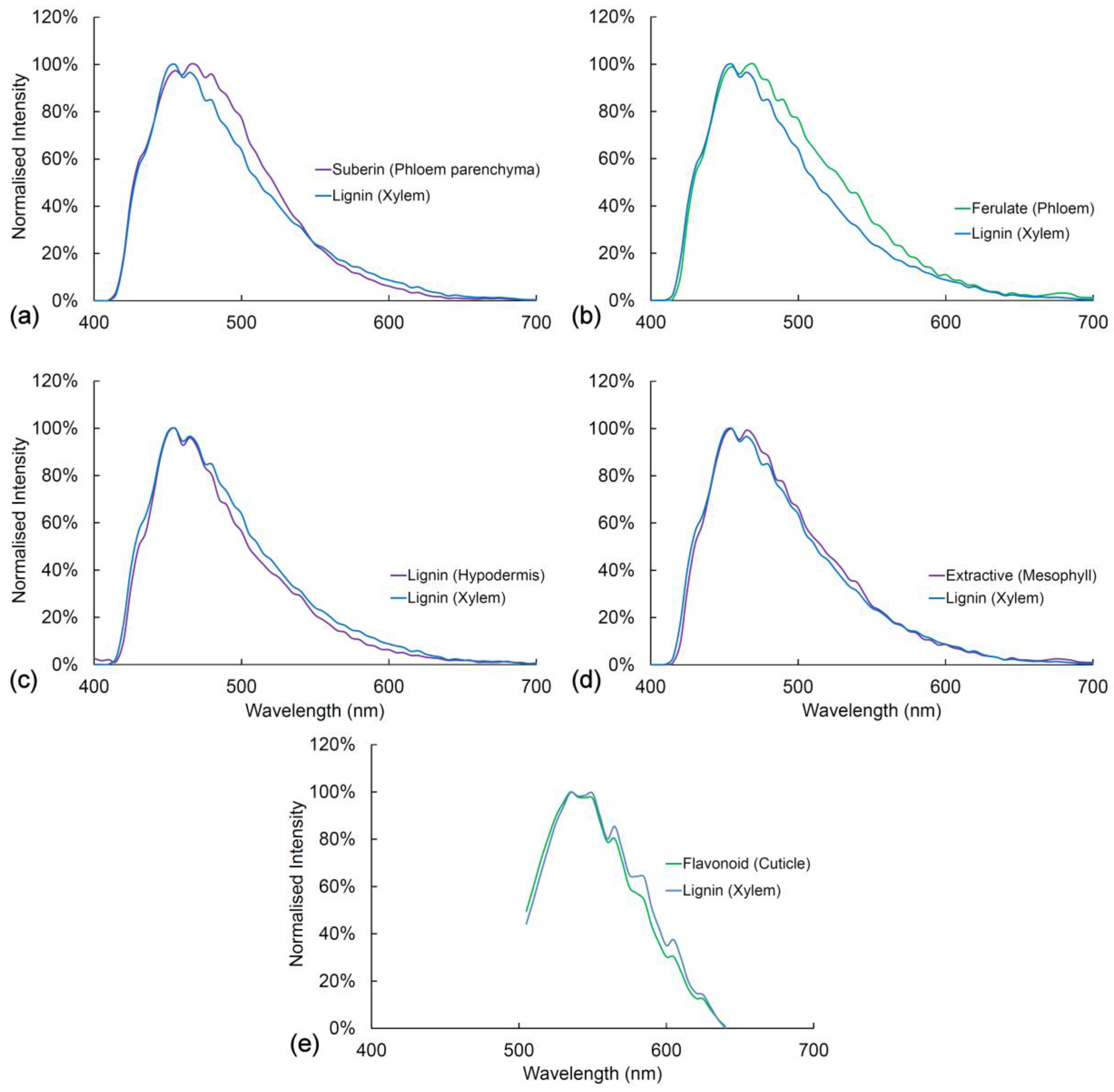 Plants 07 00010 g007 Plants 07 00010 g007