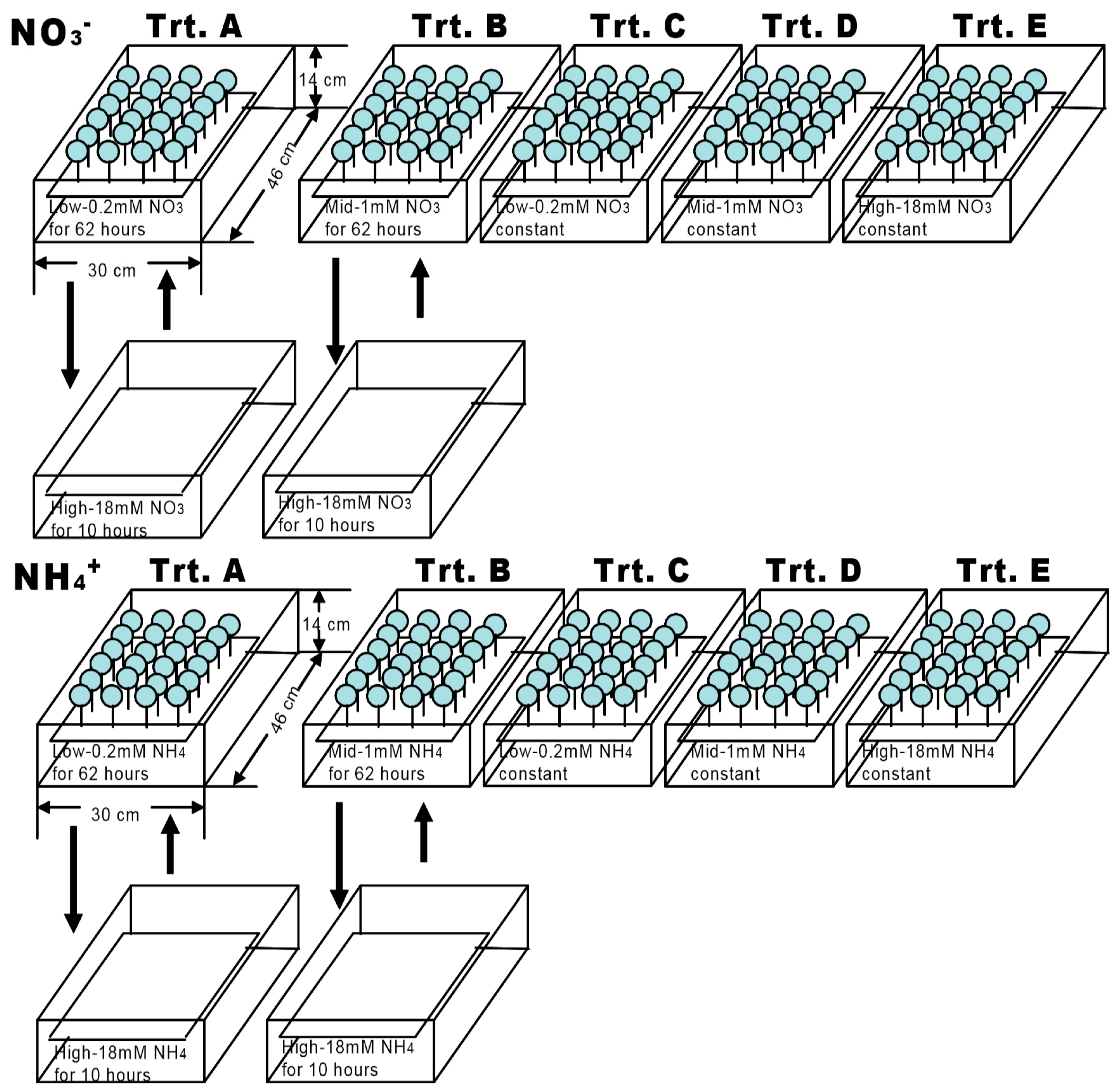 Plants 07 00015 g001 Plants 07 00015 g001