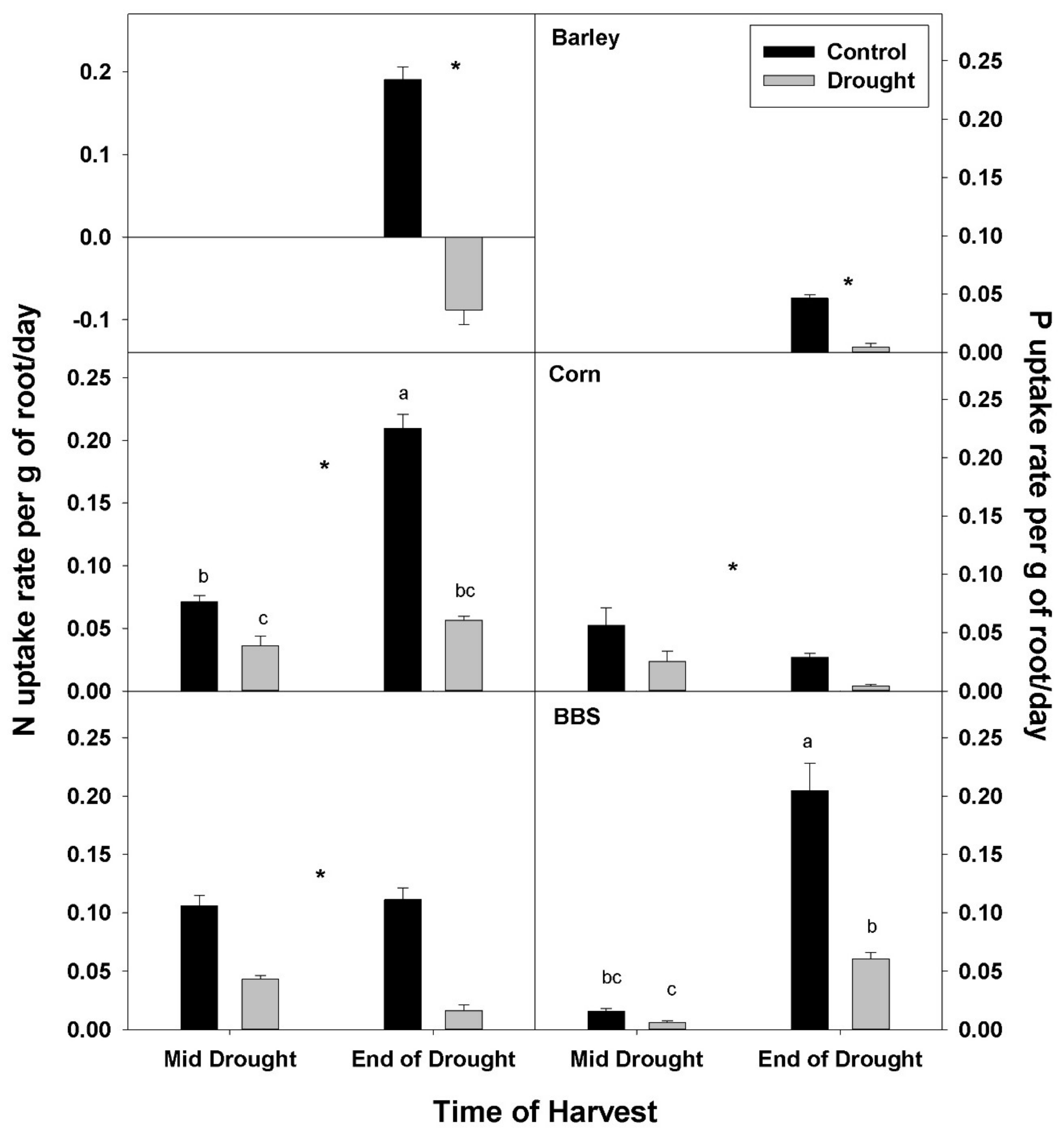 Plants 07 00028 g003 550