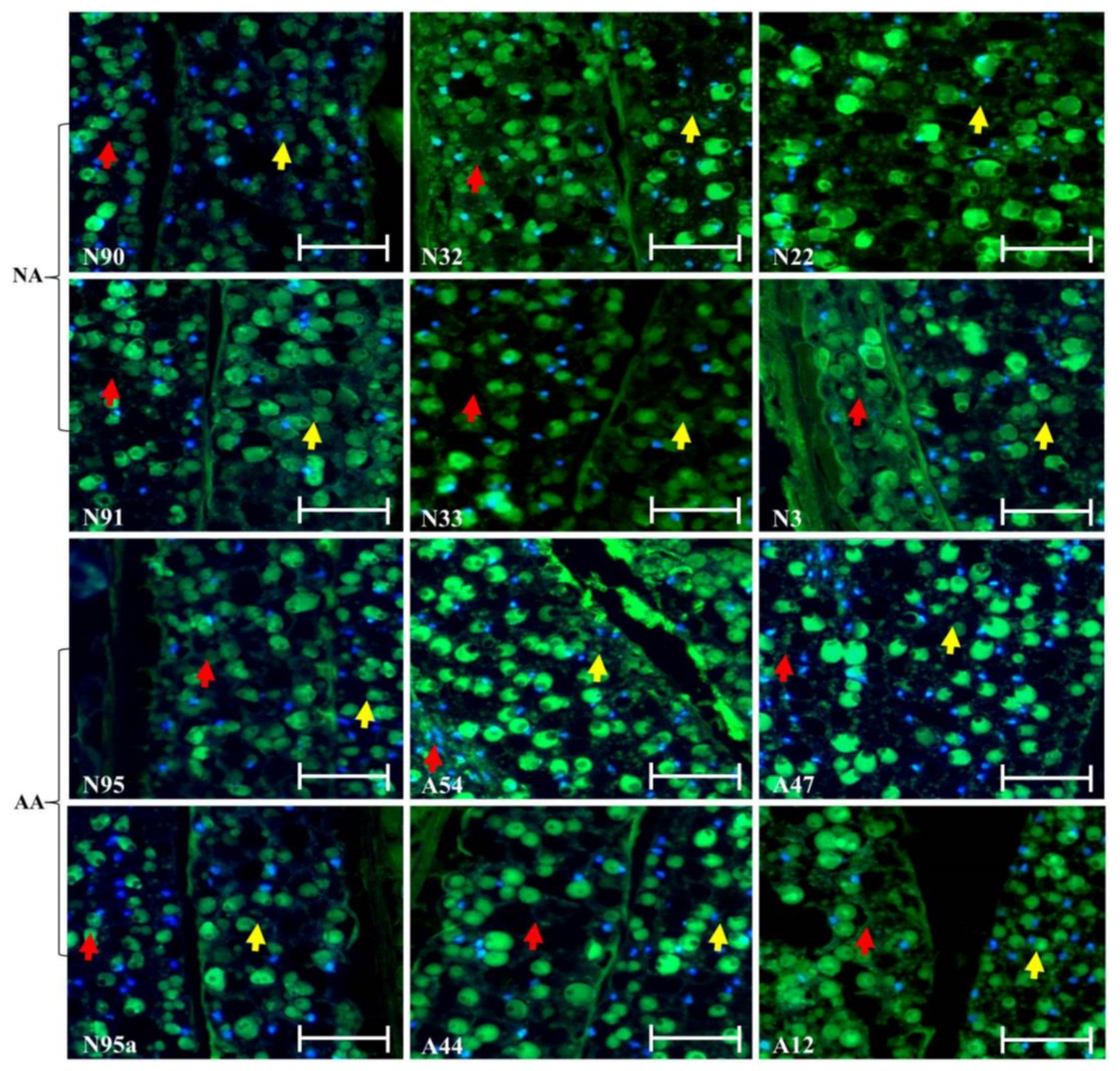 Plants 07 00034 g002