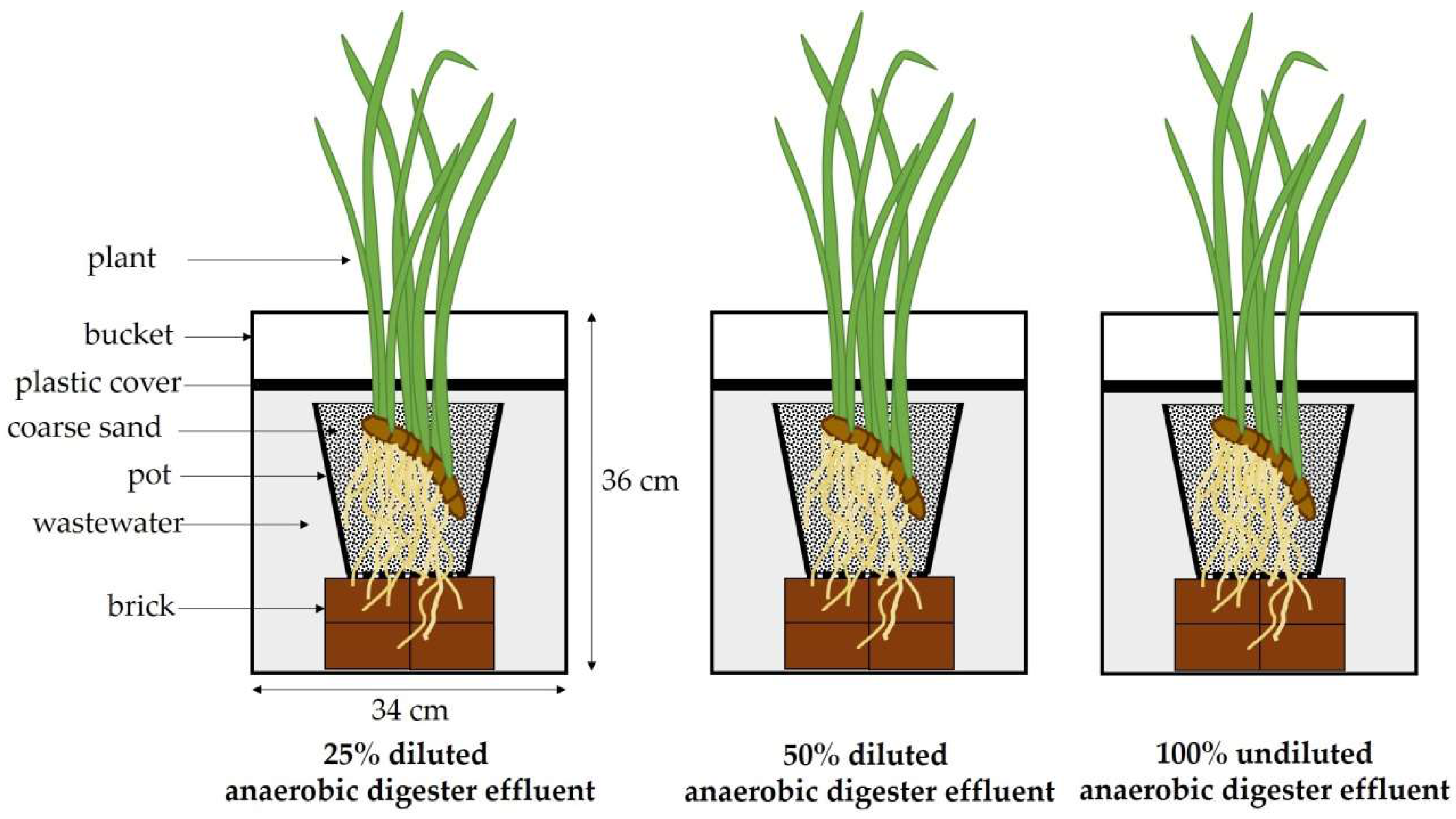 Plants 07 00036 g008