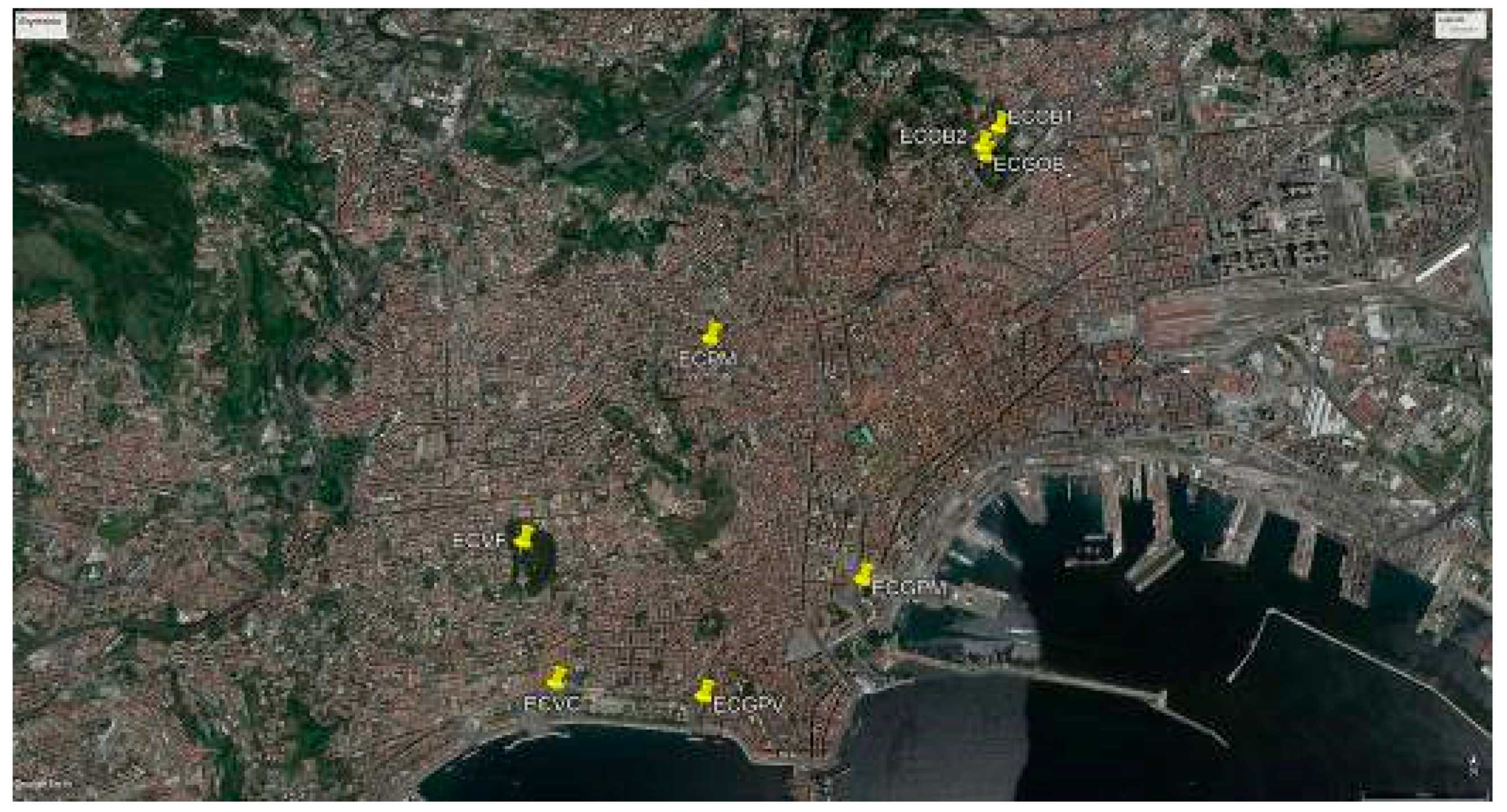 Plants 07 00043 g003