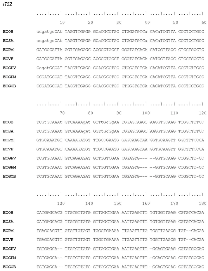 Plants 07 00043 i001