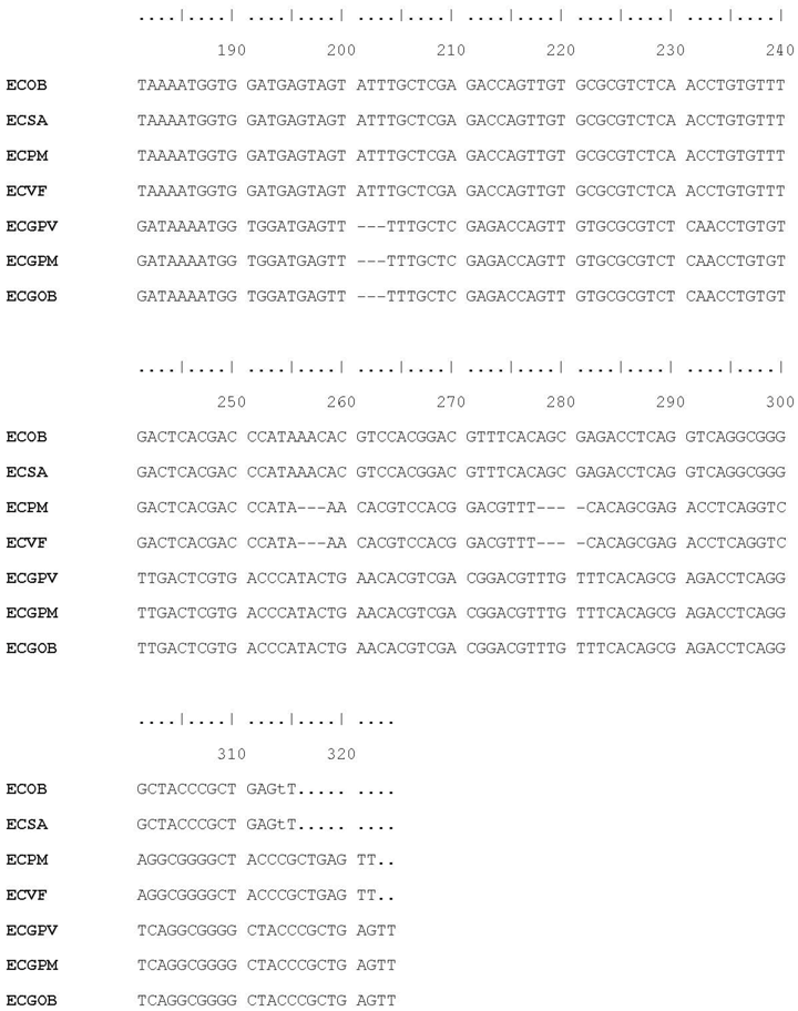 Plants 07 00043 i002