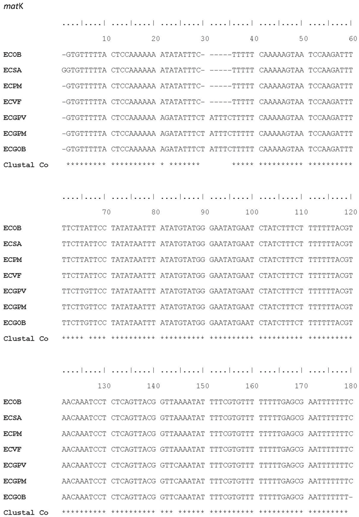 Plants 07 00043 i003