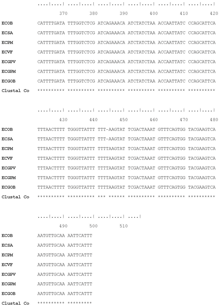 Plants 07 00043 i005