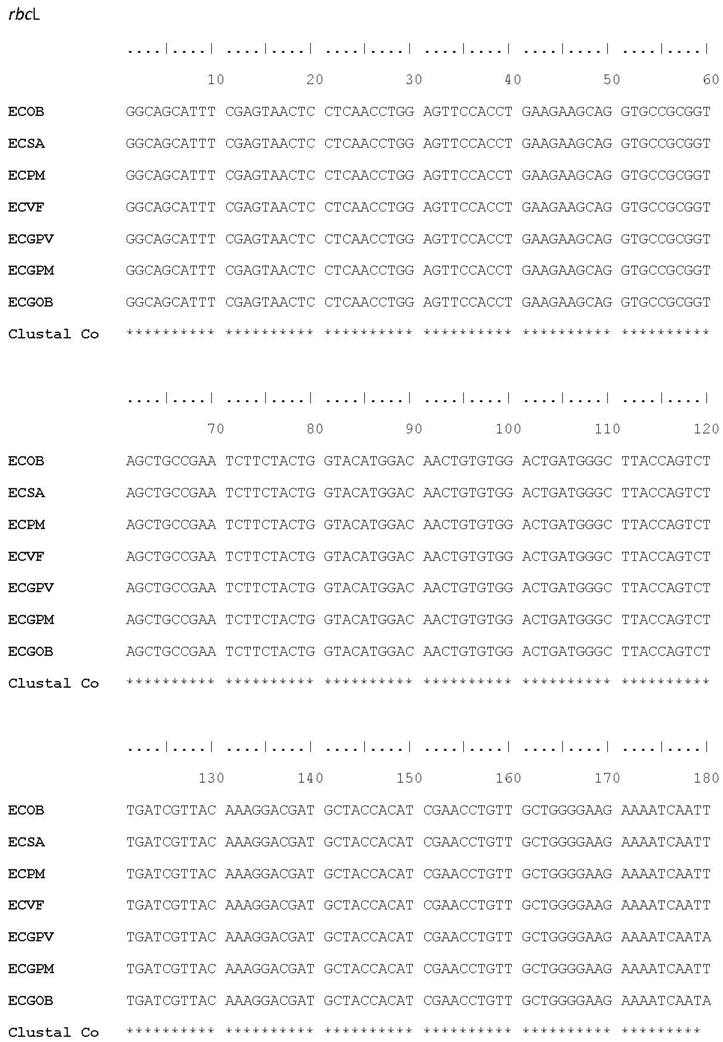 Plants 07 00043 i006