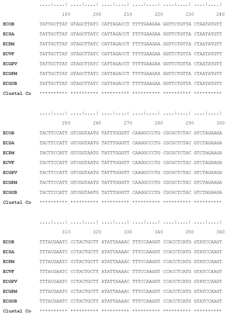 Plants 07 00043 i007