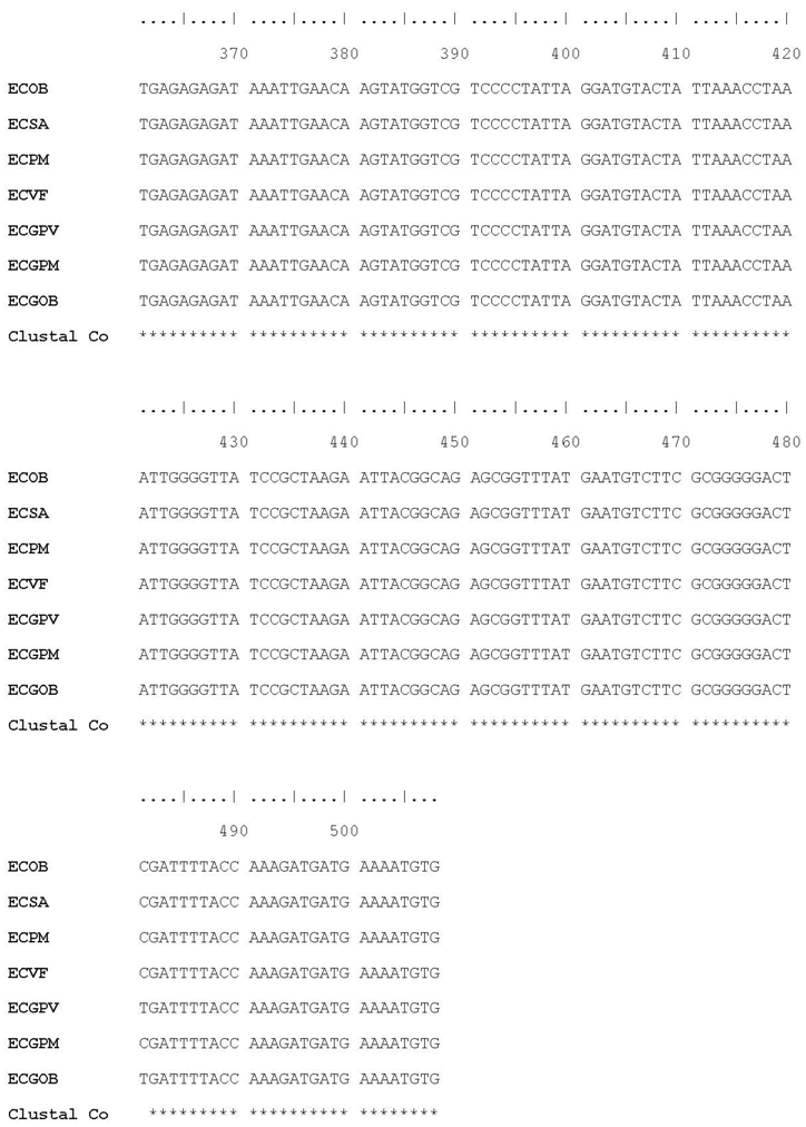 Plants 07 00043 i008