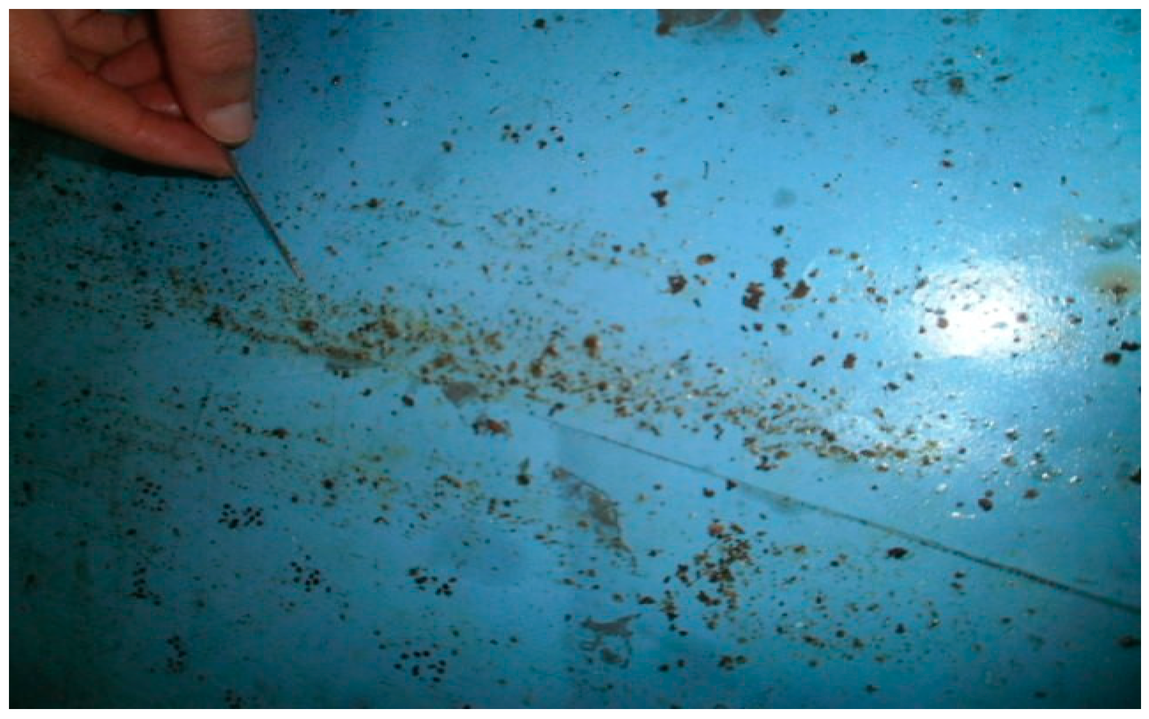 Plants 07 00044 g009 Plants 07 00044 g009