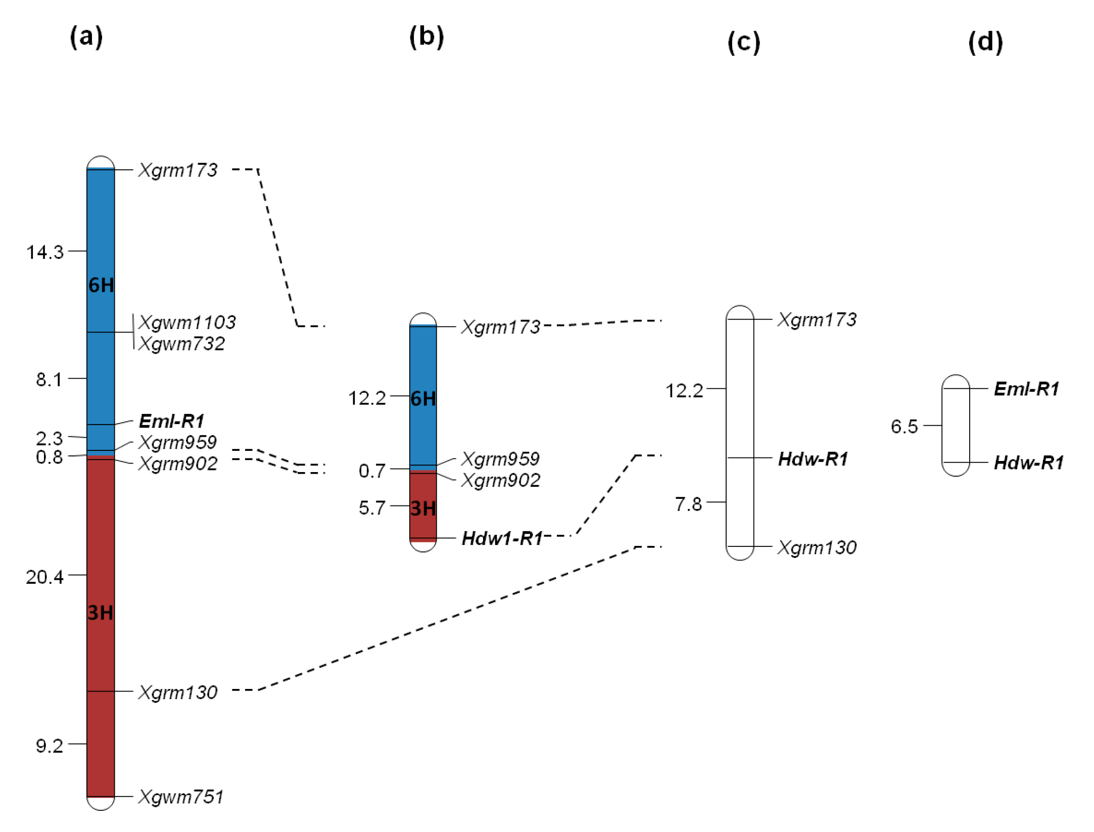 Plants 07 00055 g001