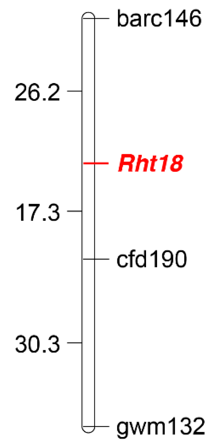 Plants 07 00058 g005